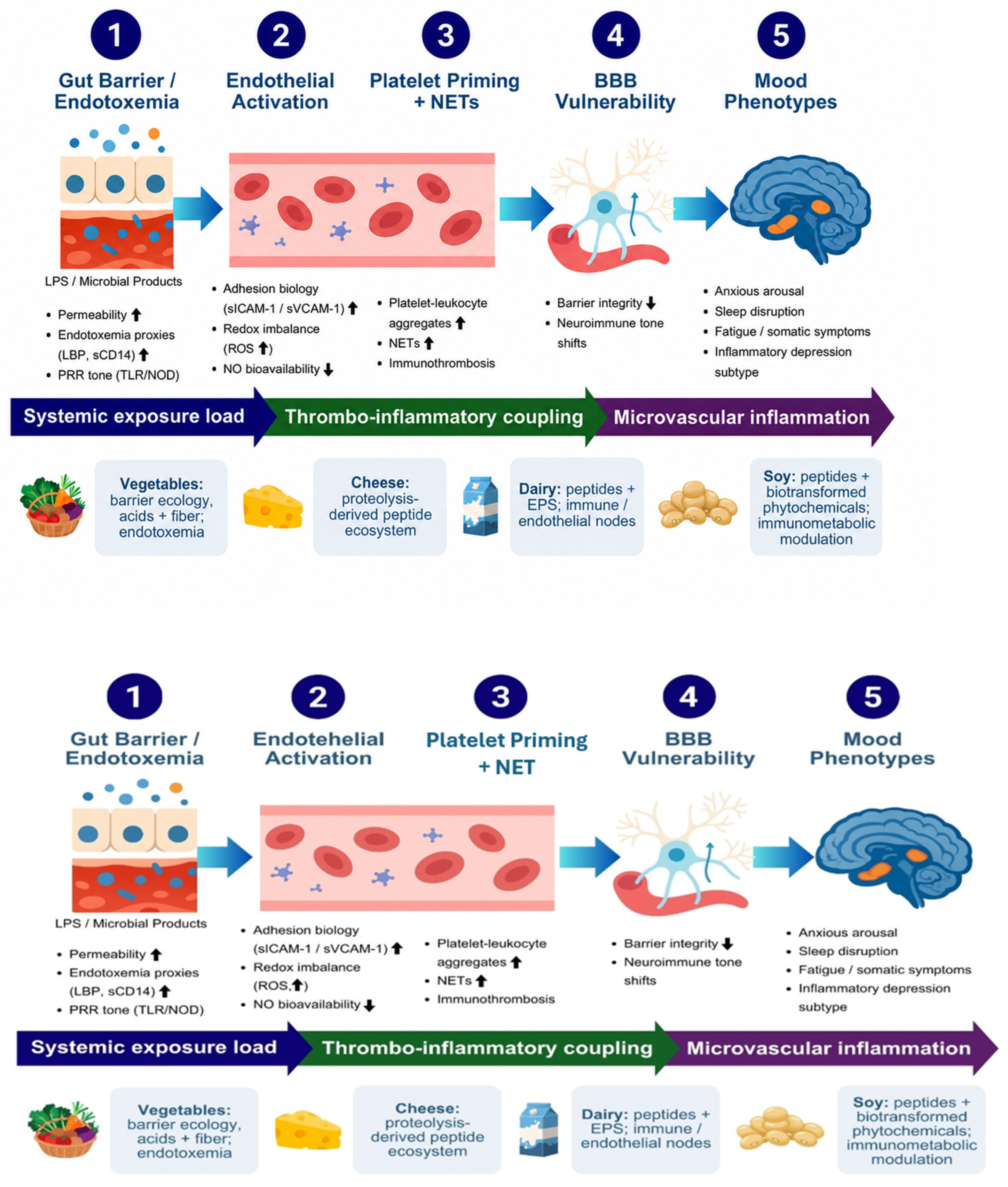 Mechanism-First Psychobiotics: Fermented Vegetables, Dairy, and