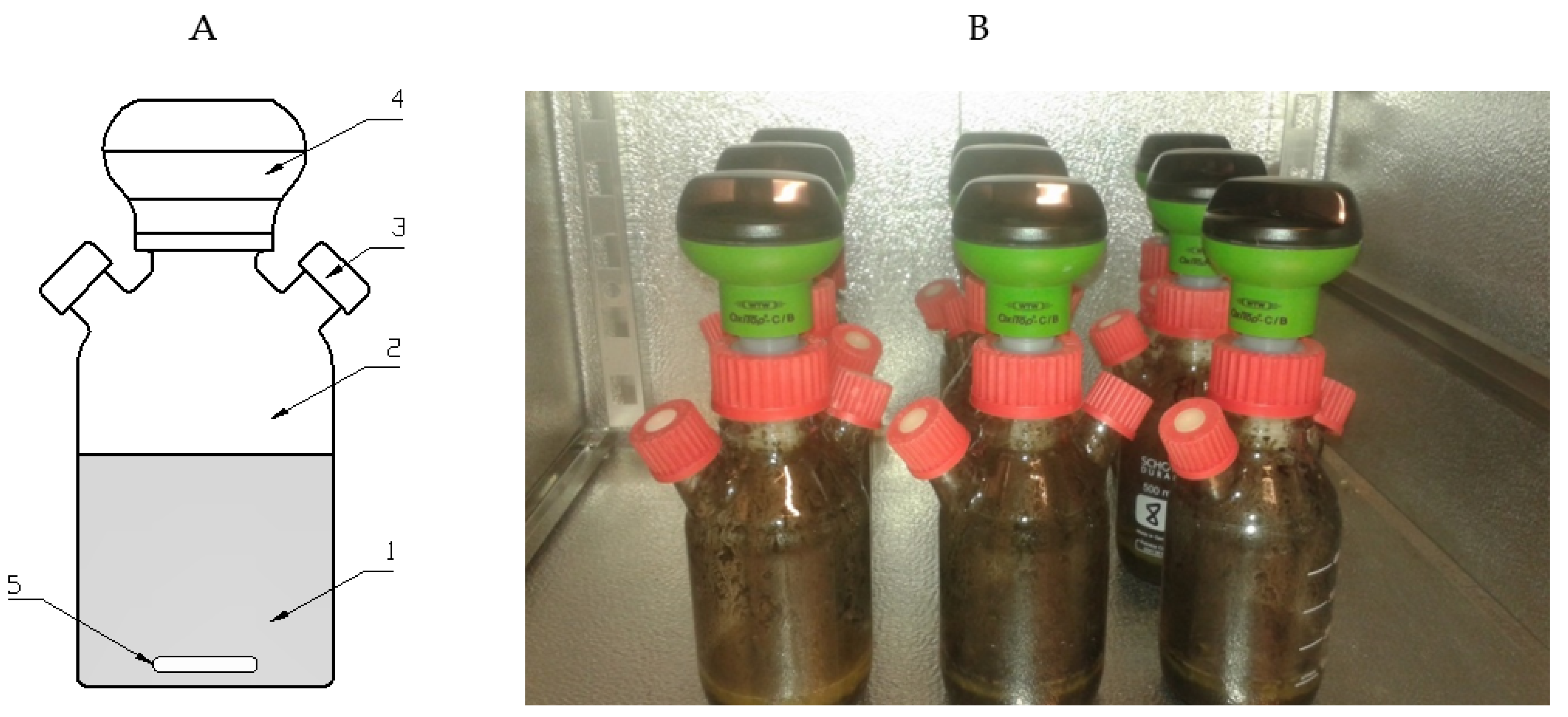 Preprints 93915 g004