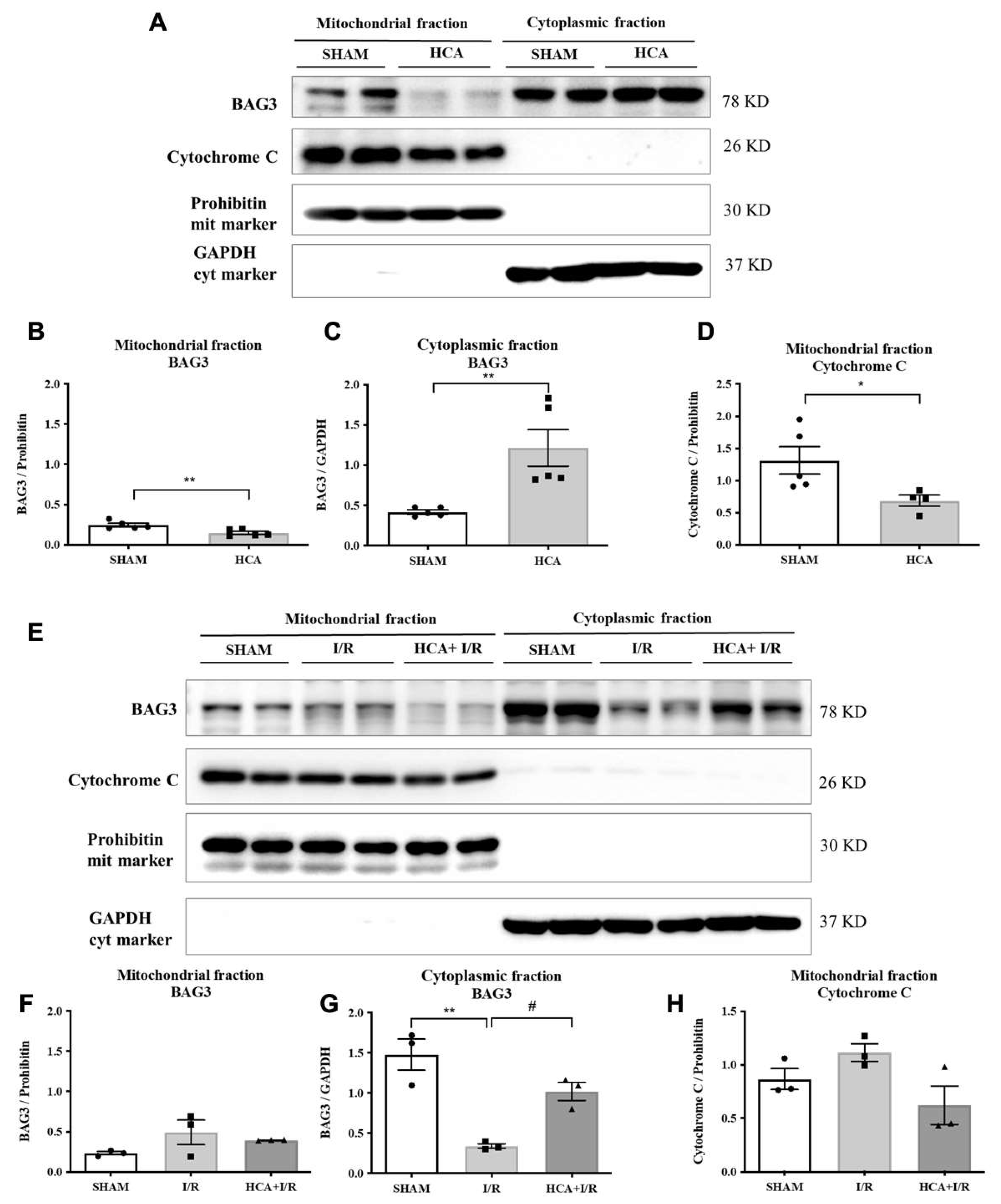 Preprints 140127 g002