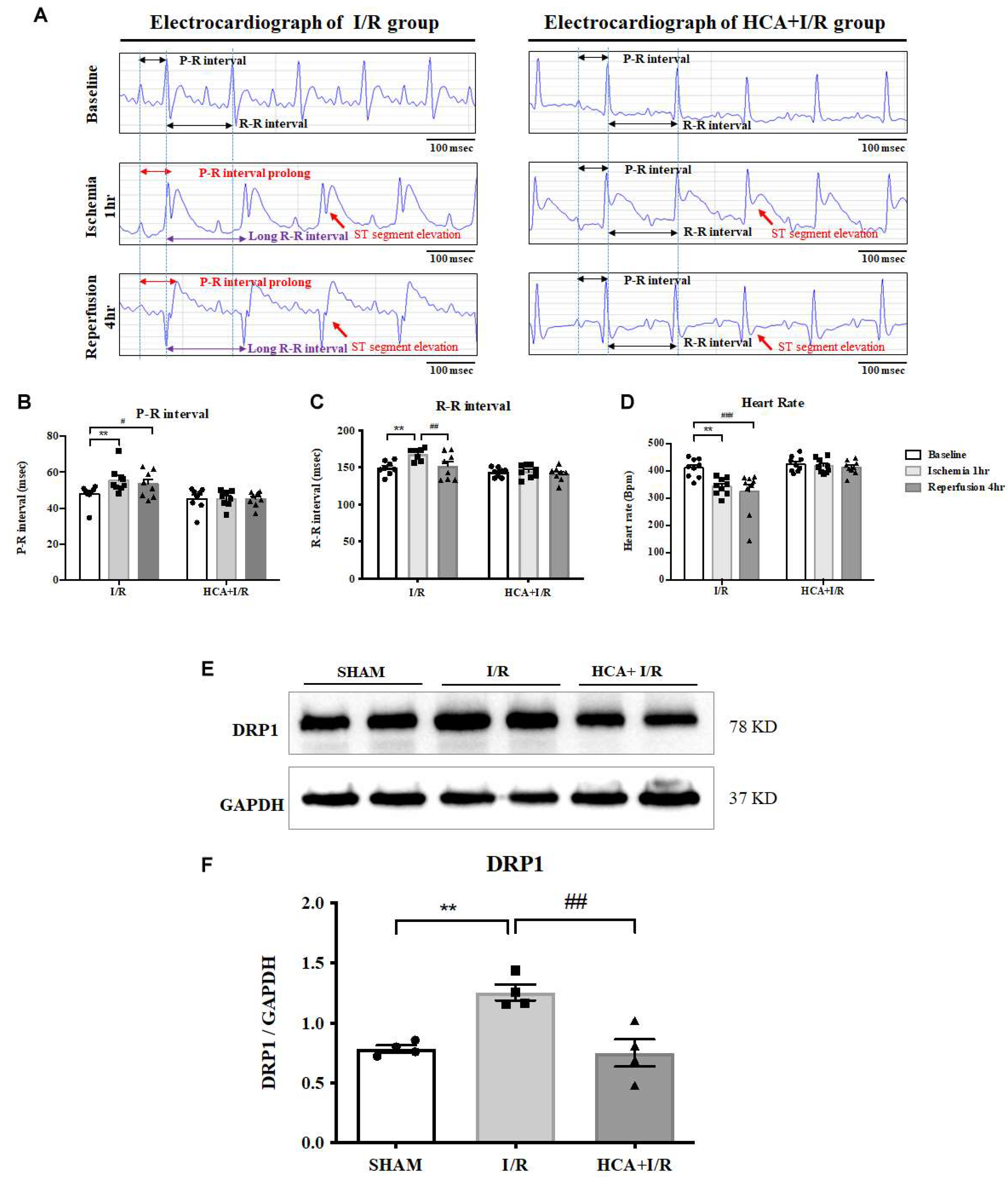 Preprints 140127 g005