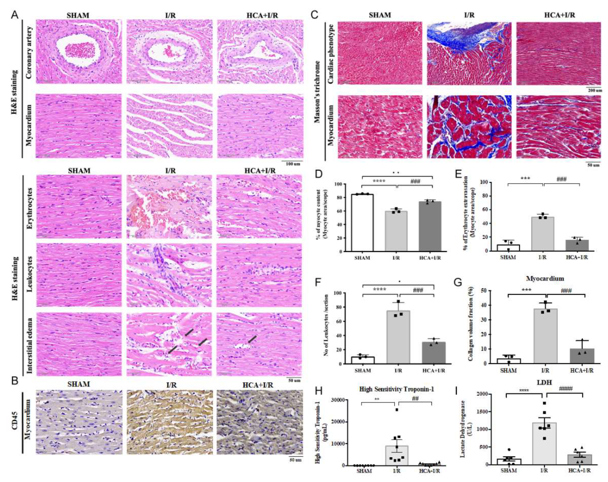 Preprints 140127 g006