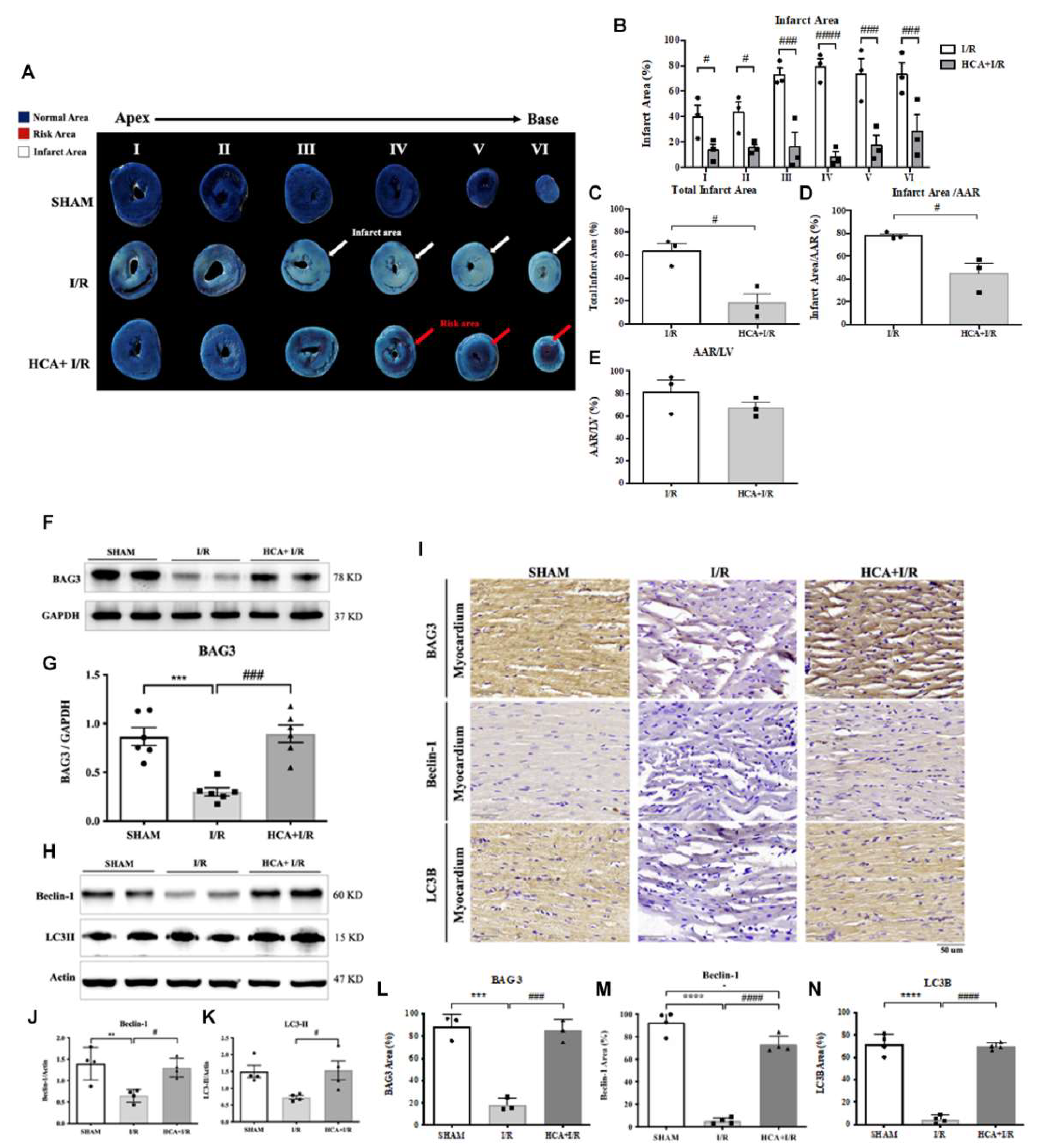 Preprints 140127 g007