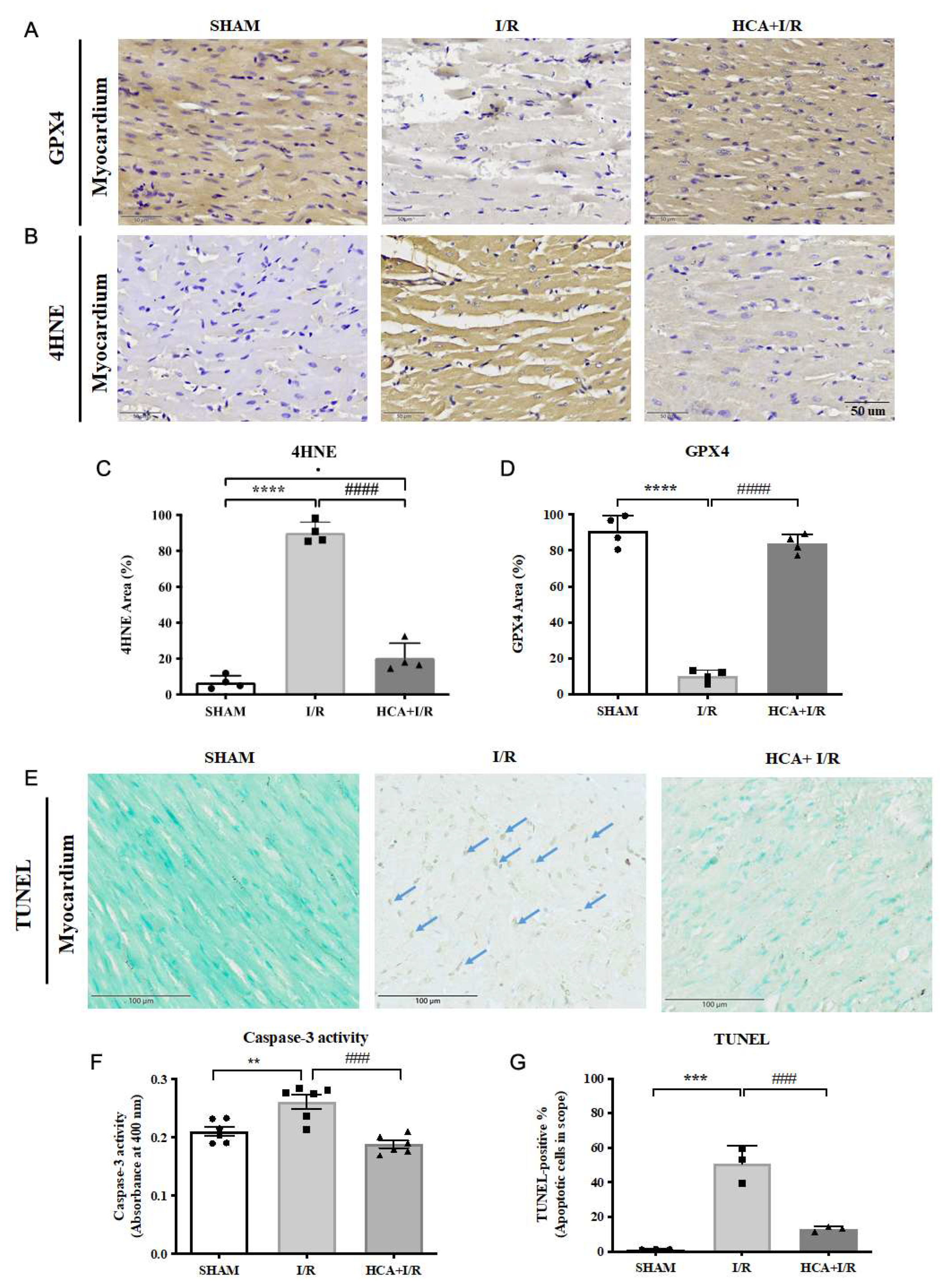 Preprints 140127 g008
