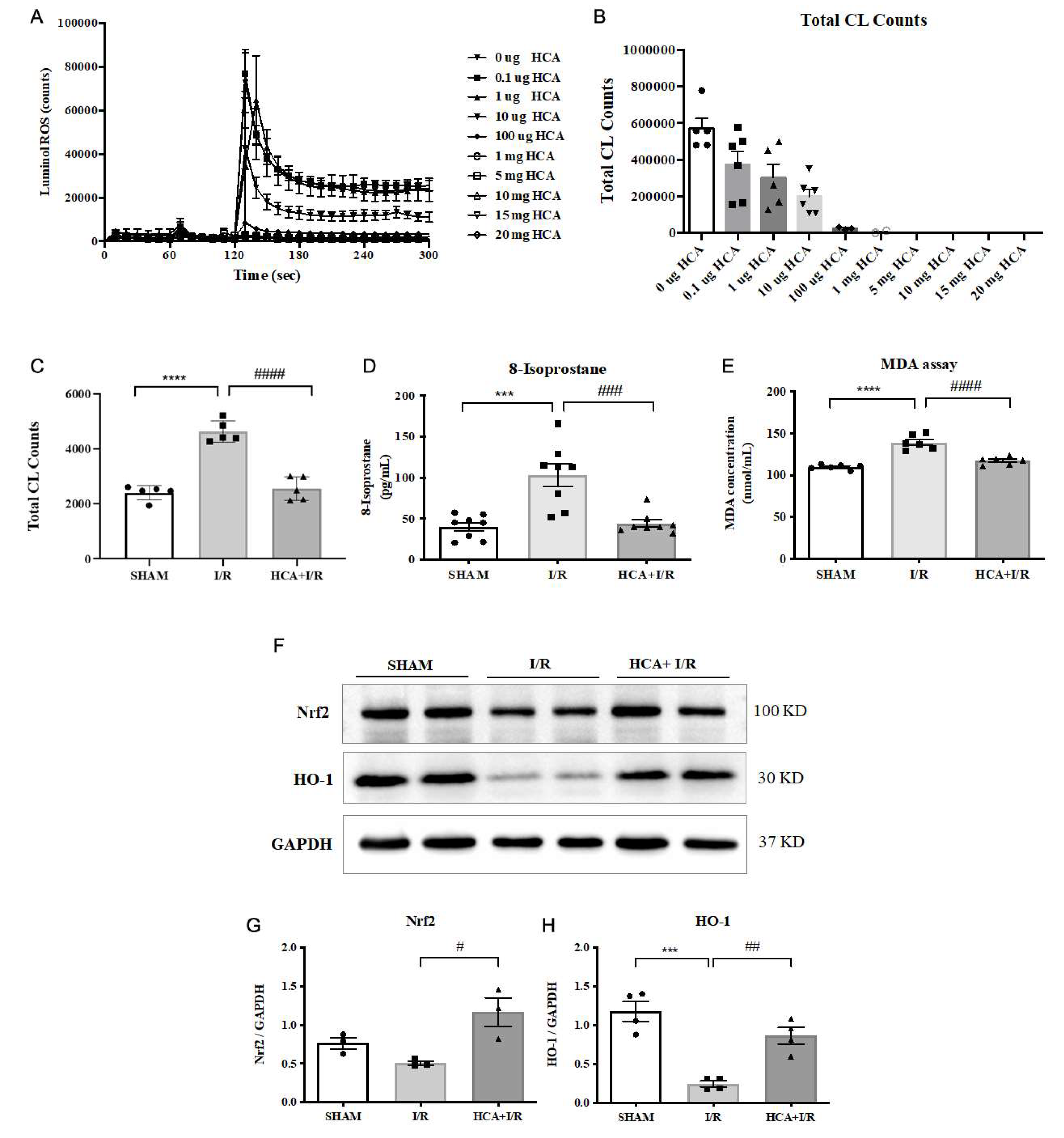 Preprints 140127 g009
