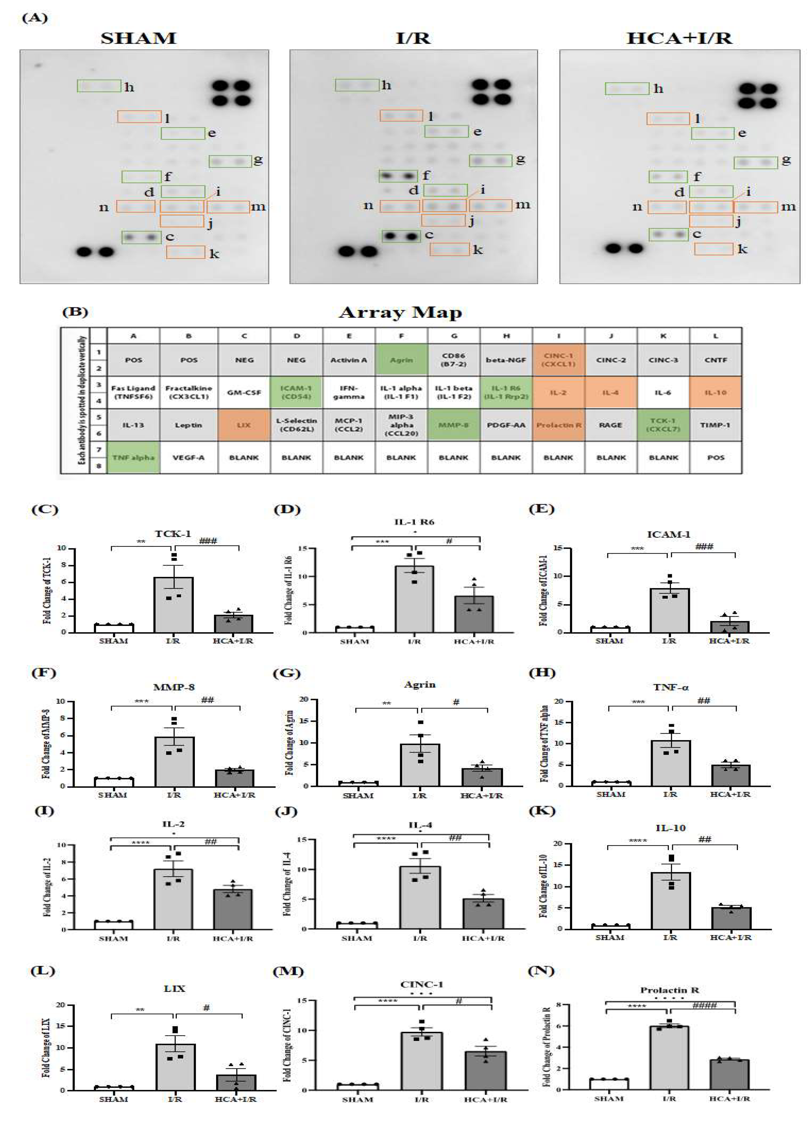 Preprints 140127 g010