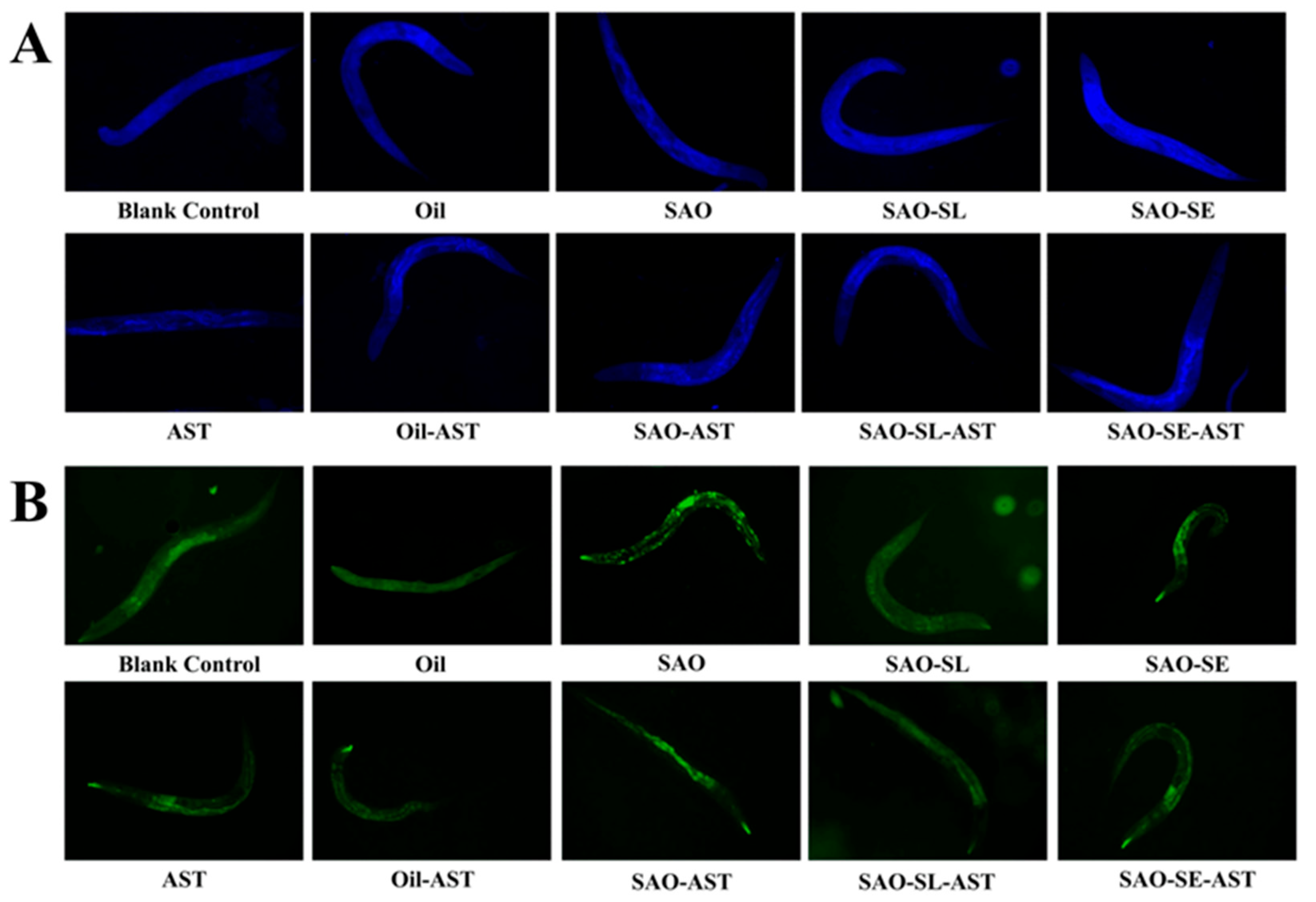 Preprints 202766 g006