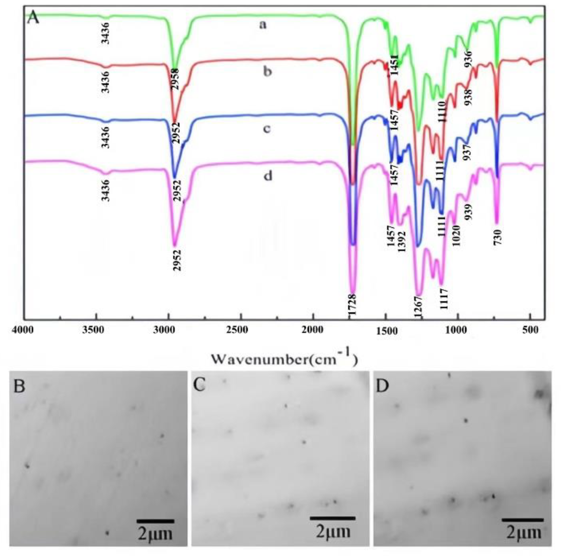 Preprints 95805 g004