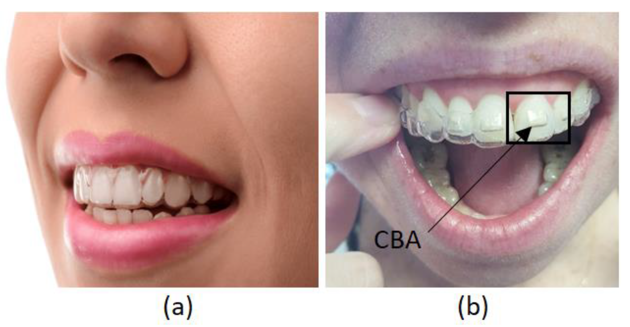 Preprints 145136 g001