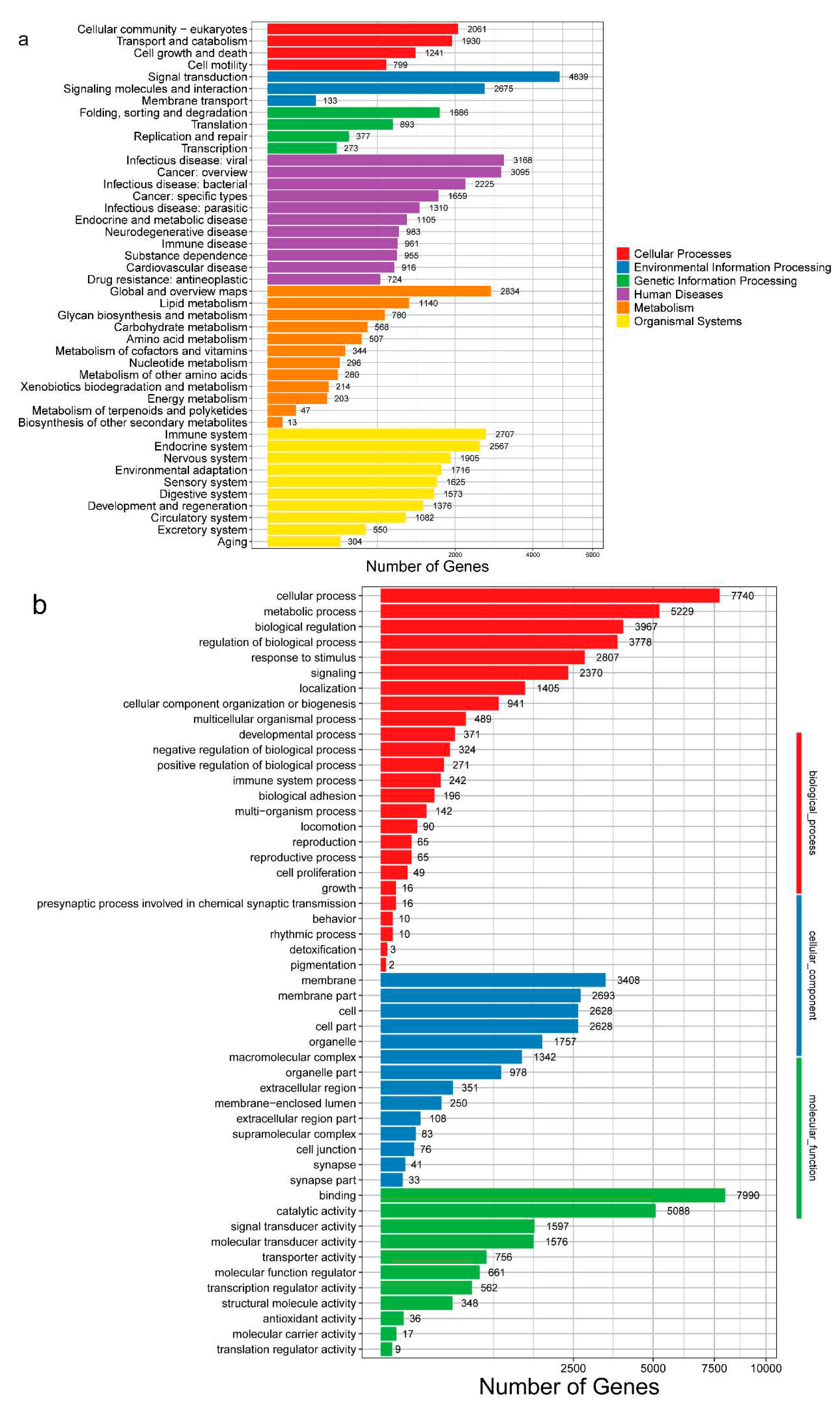 Preprints 76102 g002