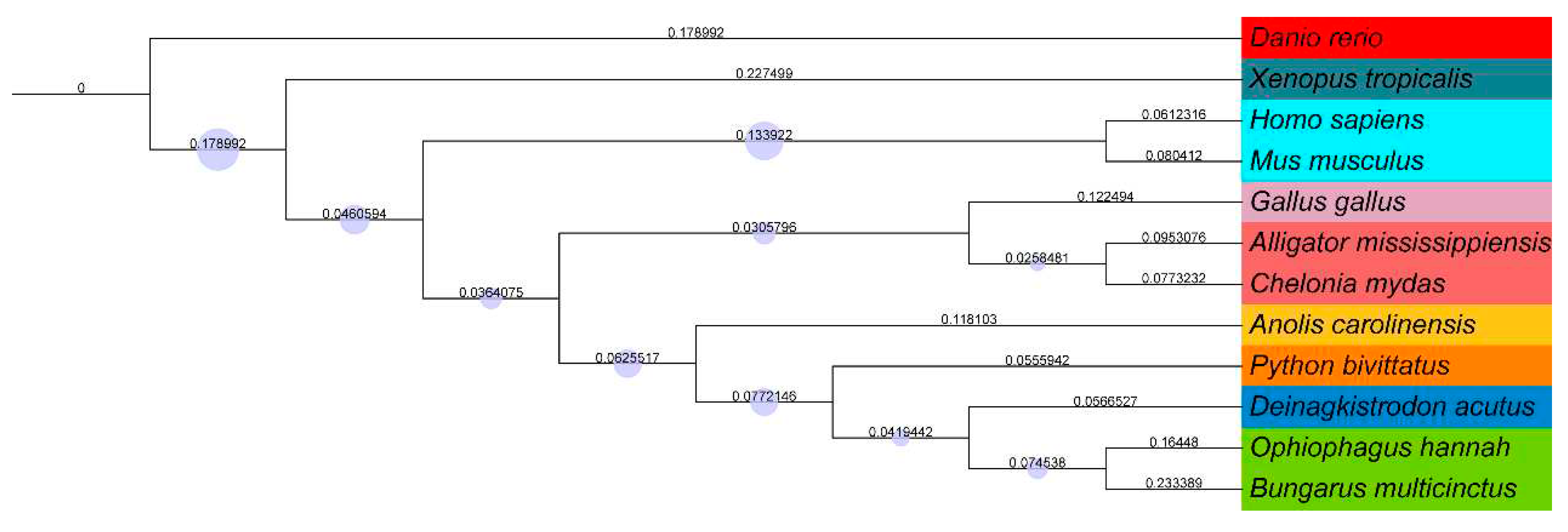 Preprints 76102 g004