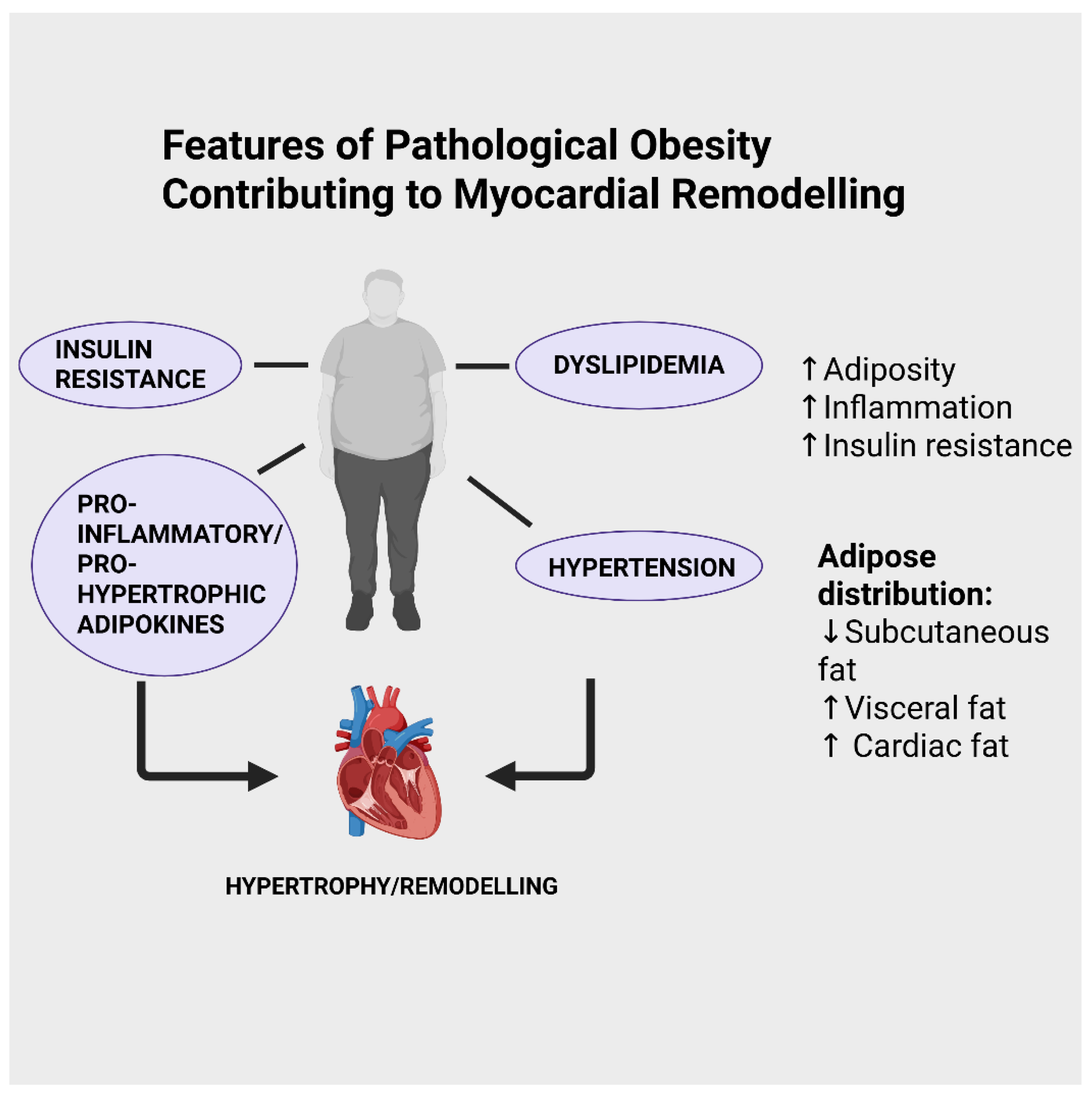 Preprints 186812 g001