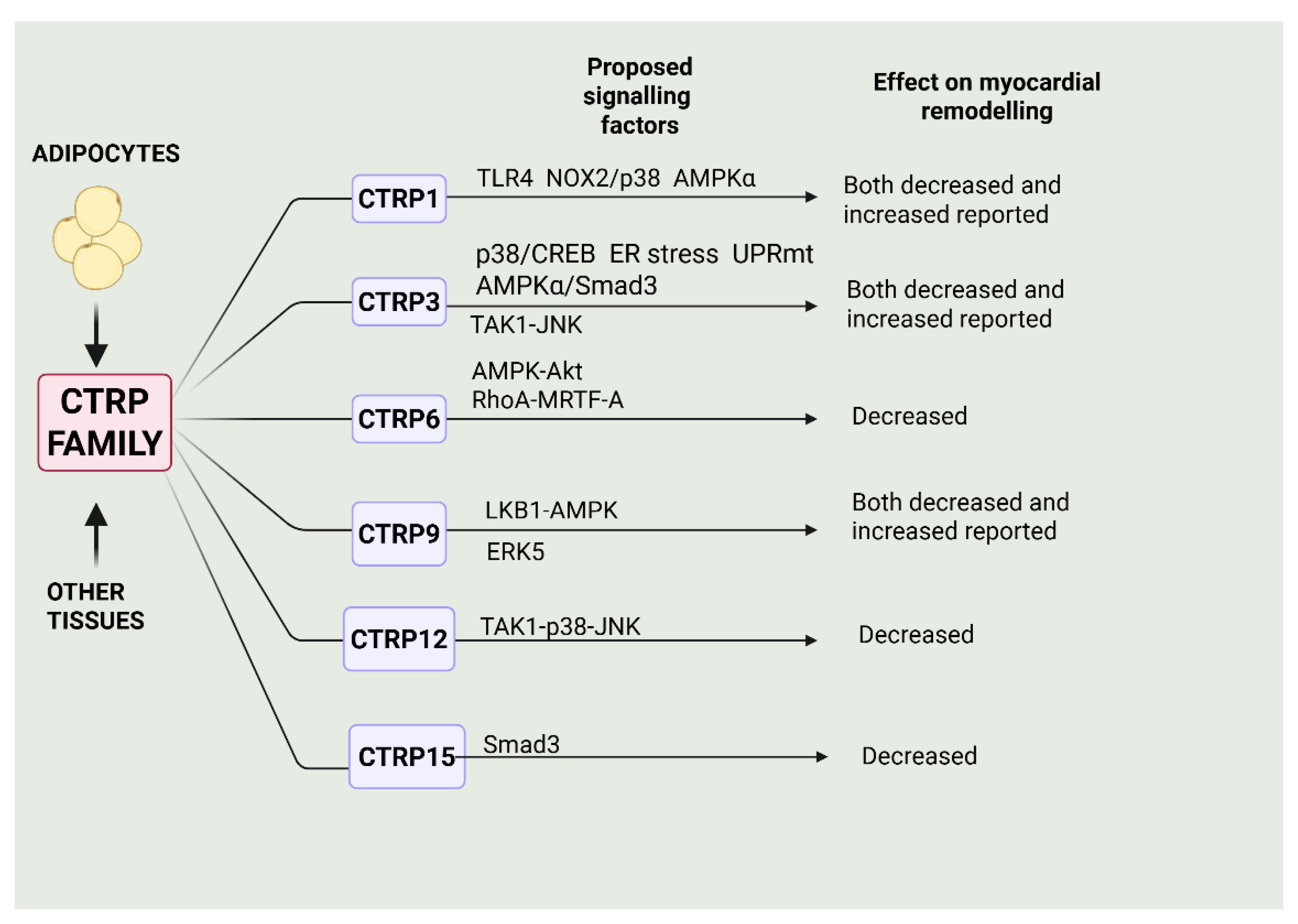 Preprints 186812 g002