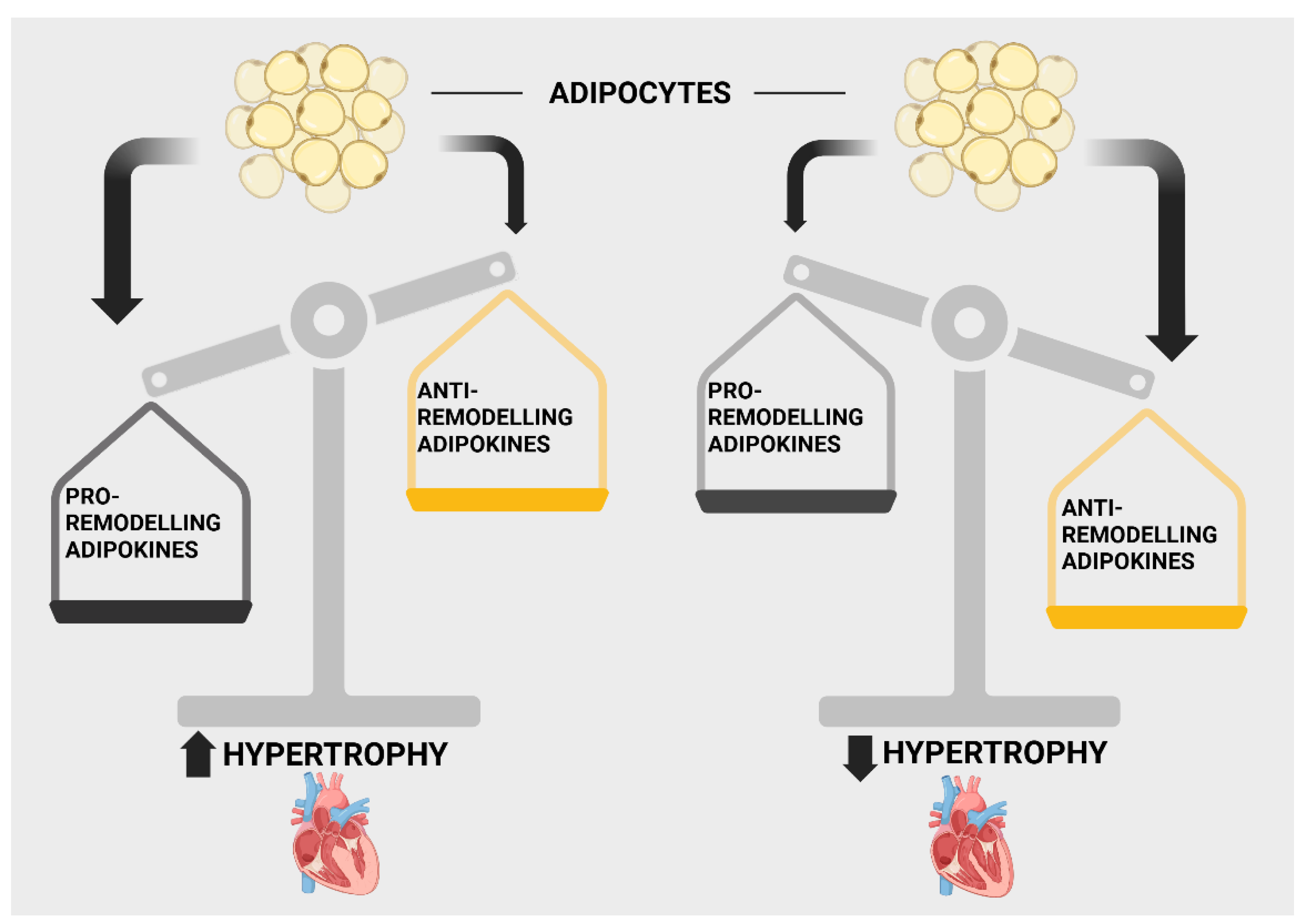 Preprints 186812 g003