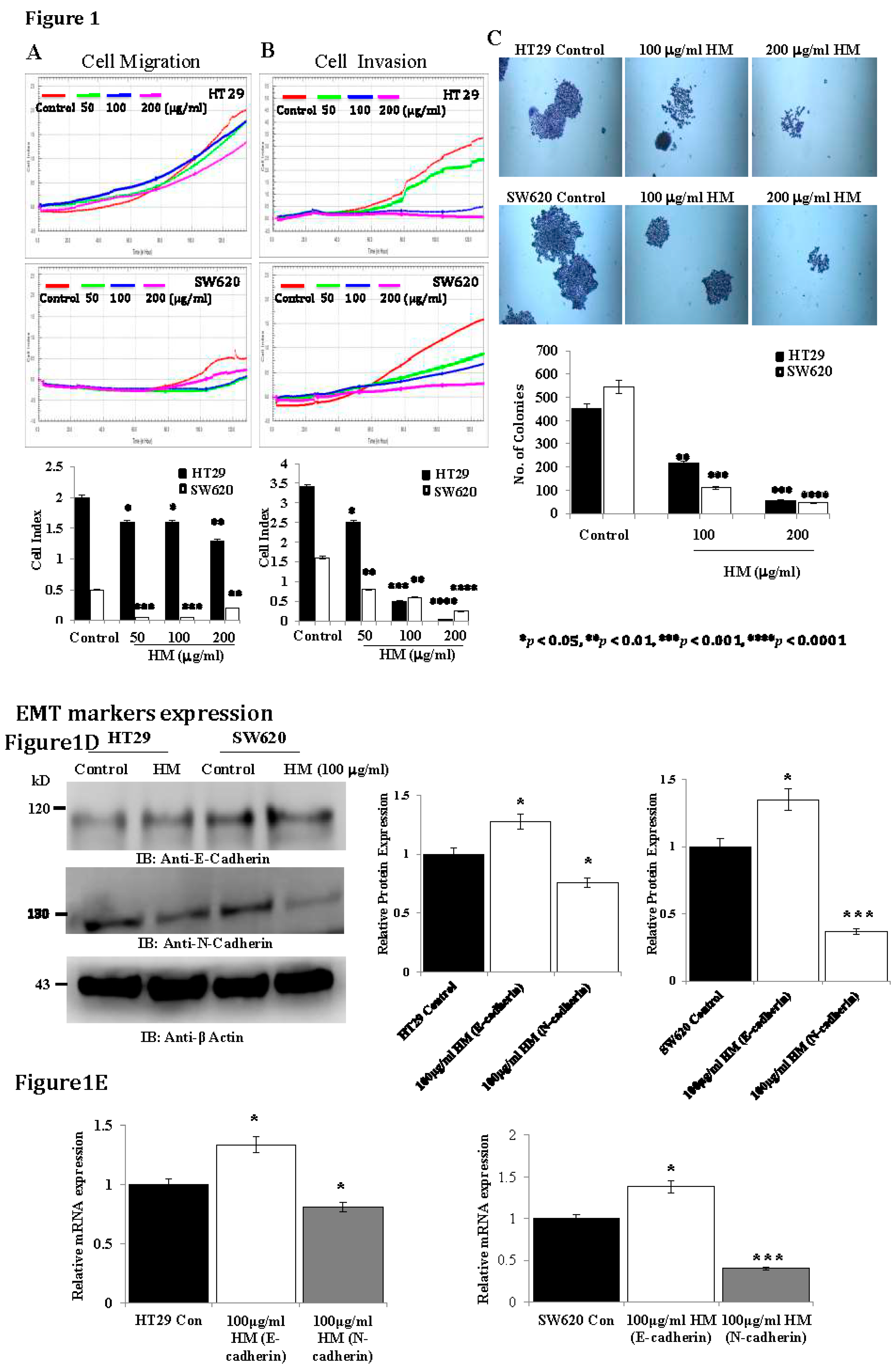 Preprints 156848 g001