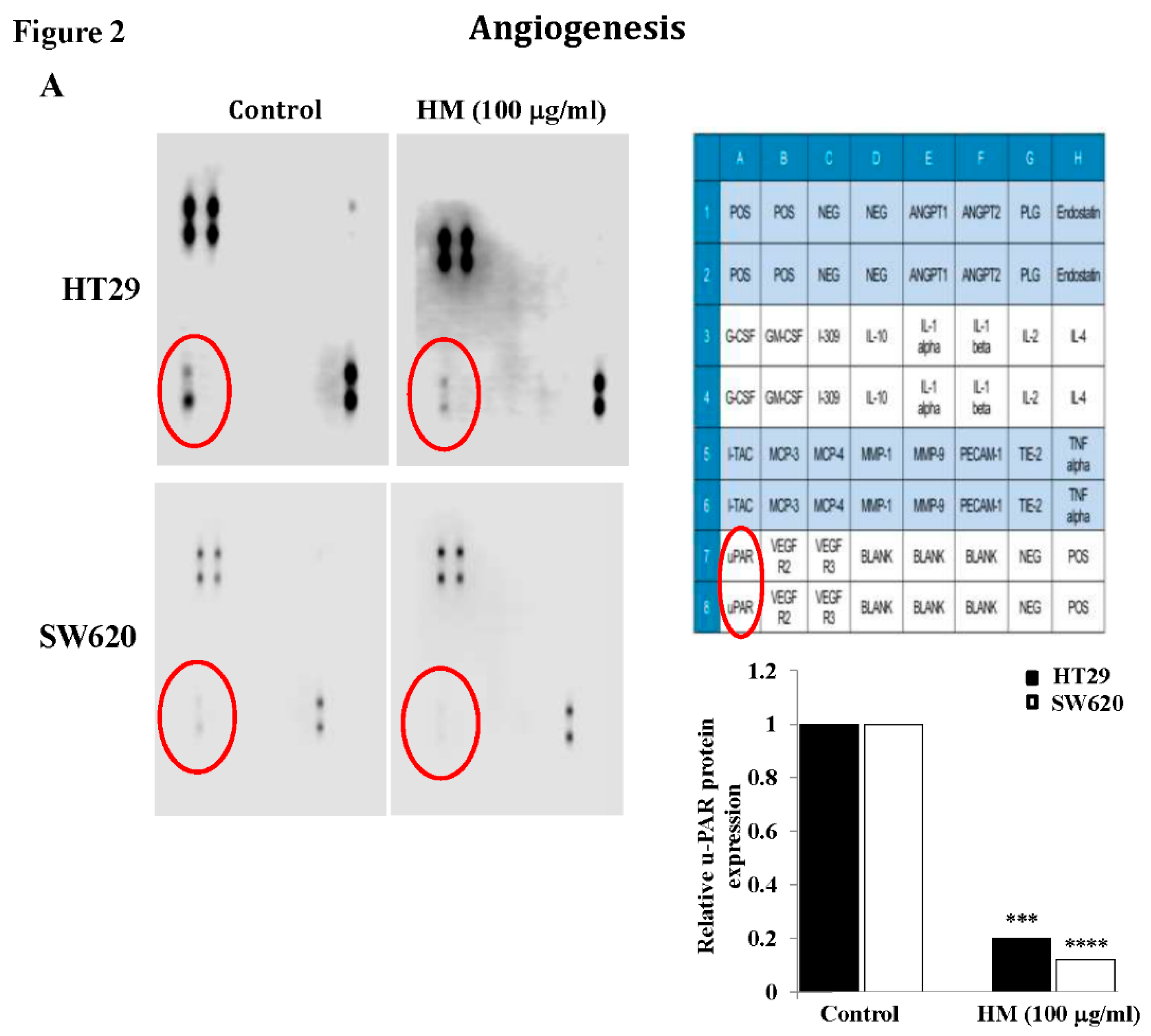 Preprints 156848 g002a