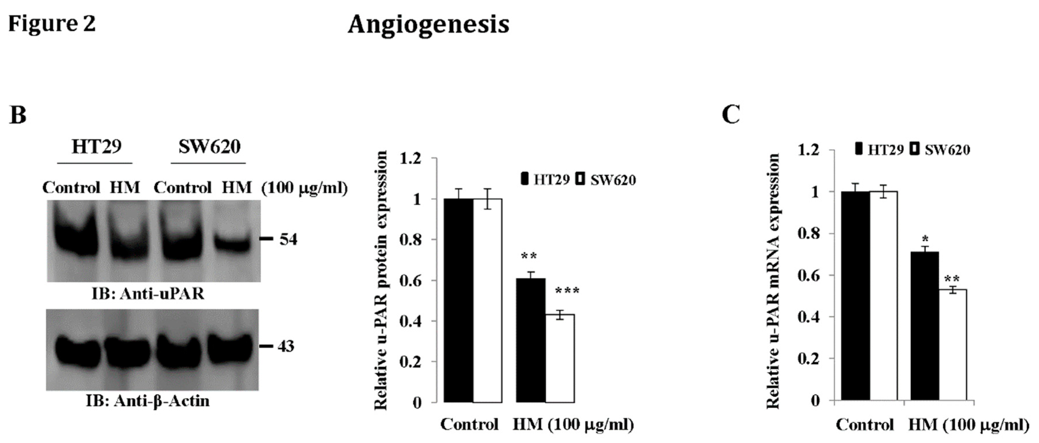 Preprints 156848 g002b
