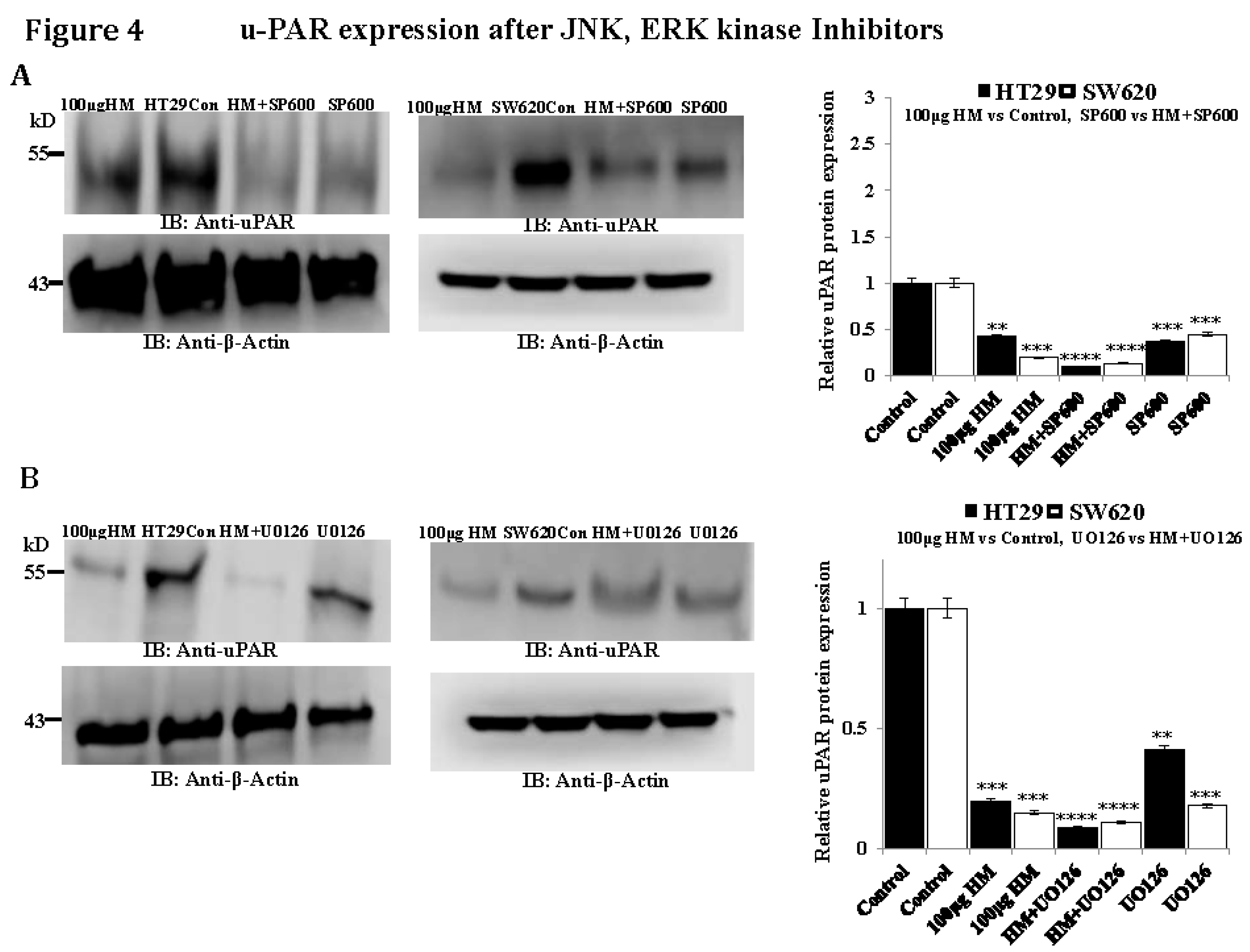 Preprints 156848 g004