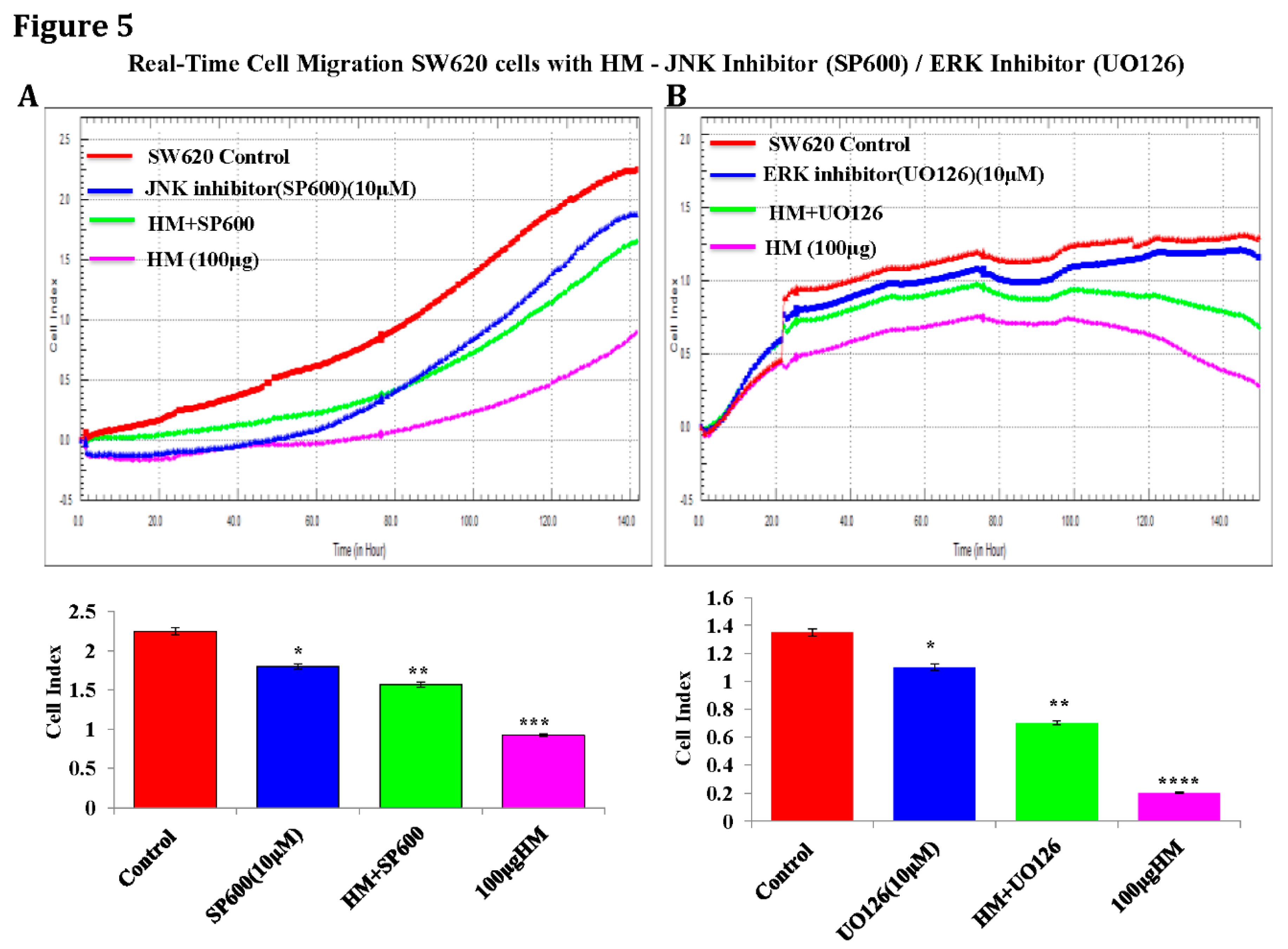 Preprints 156848 g005
