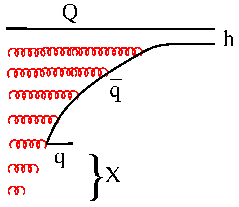 Preprints 80881 g006