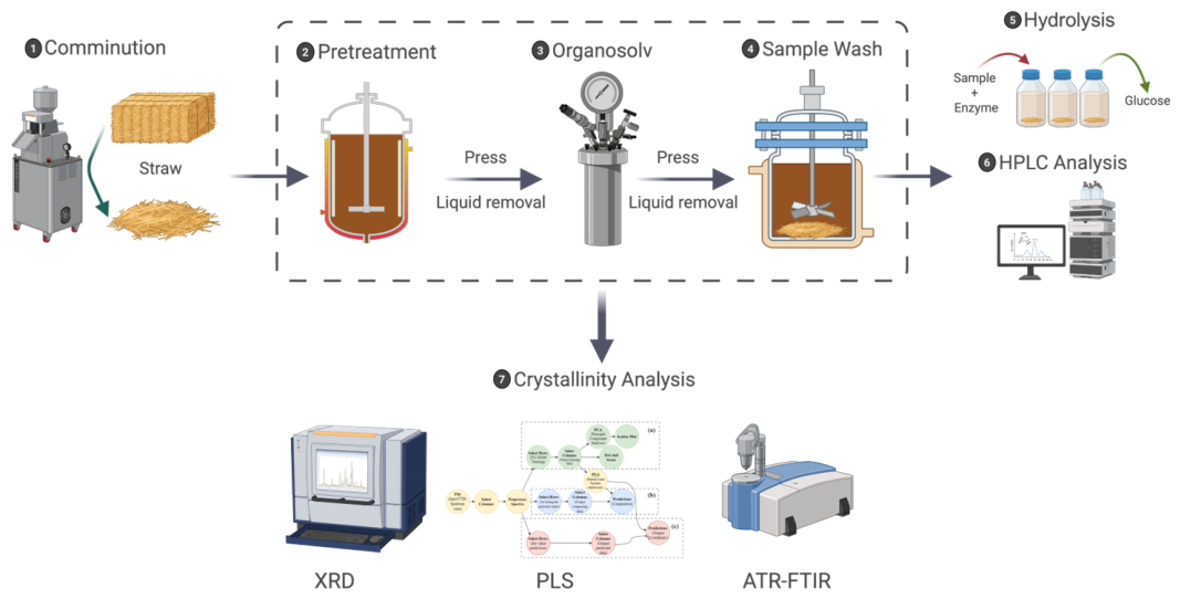Preprints 224381 g001