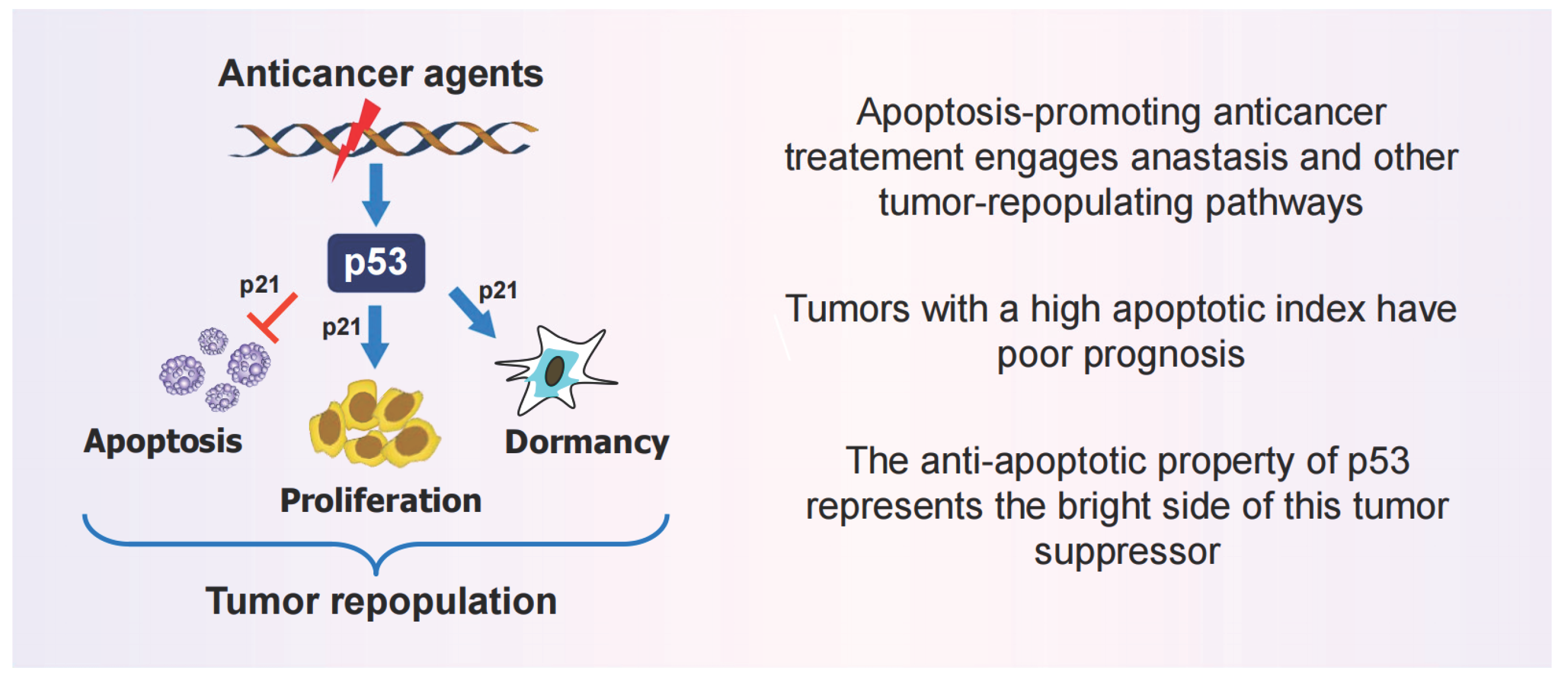 Preprints 179851 g001