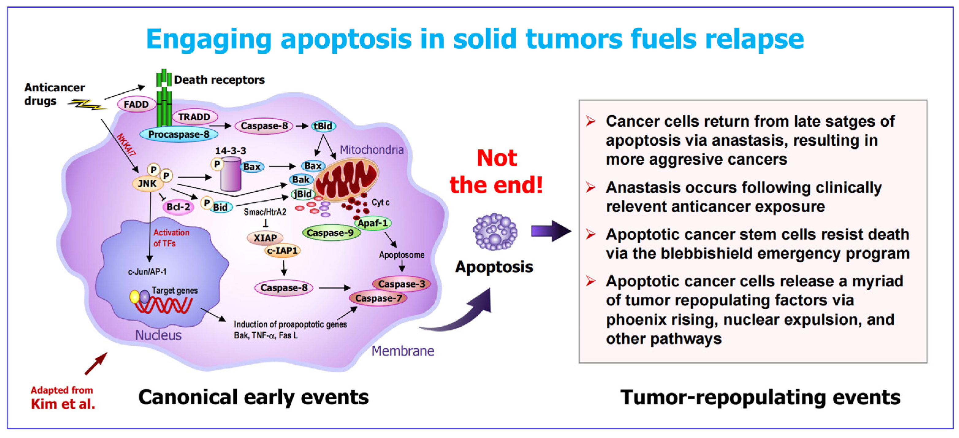 Preprints 179851 g002