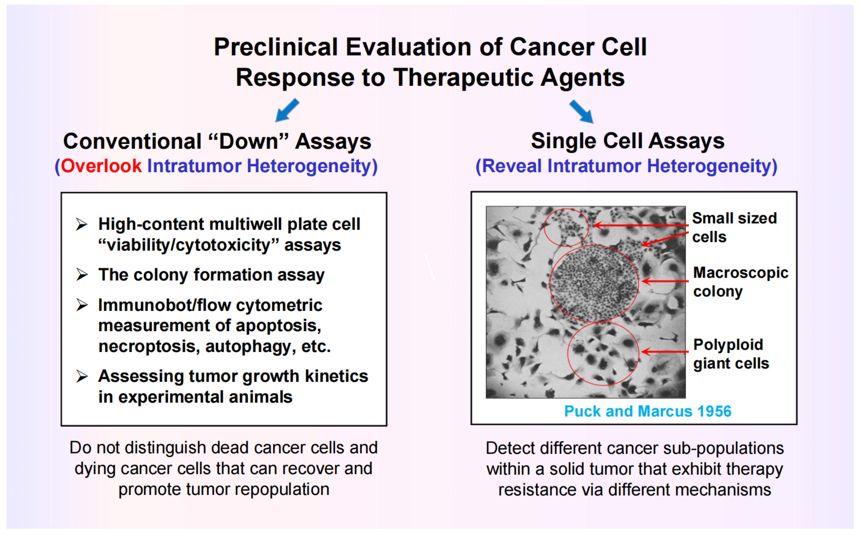 Preprints 179851 g004