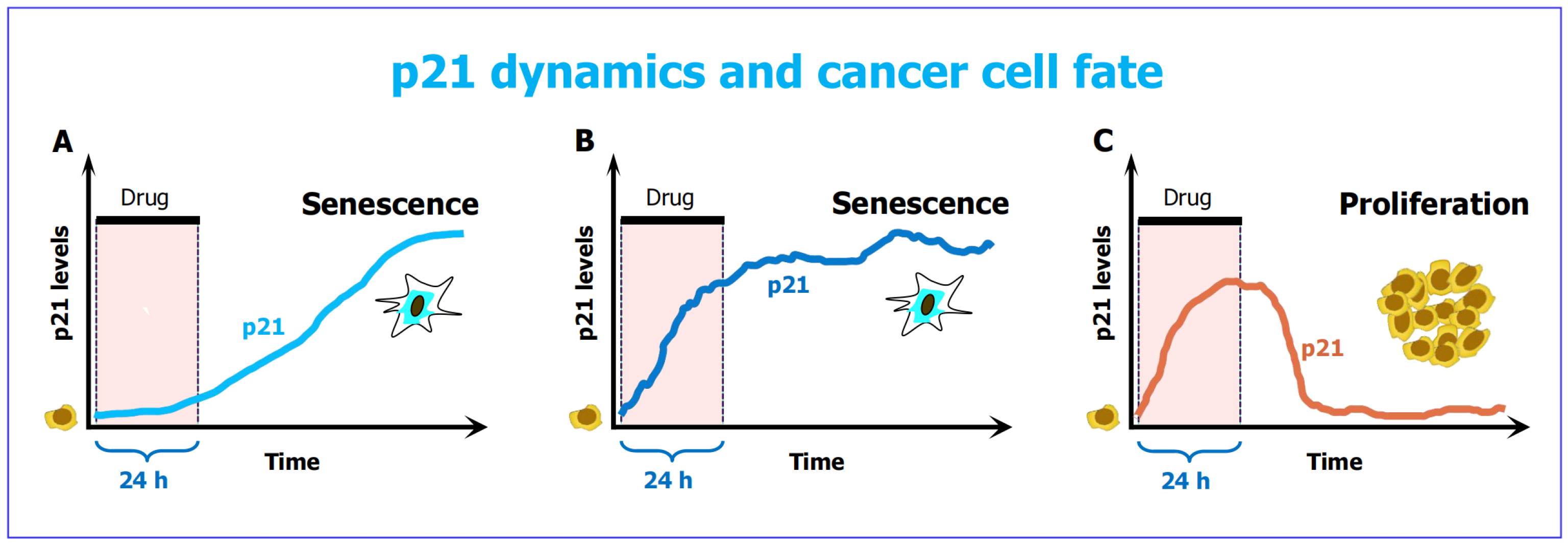 Preprints 179851 g006