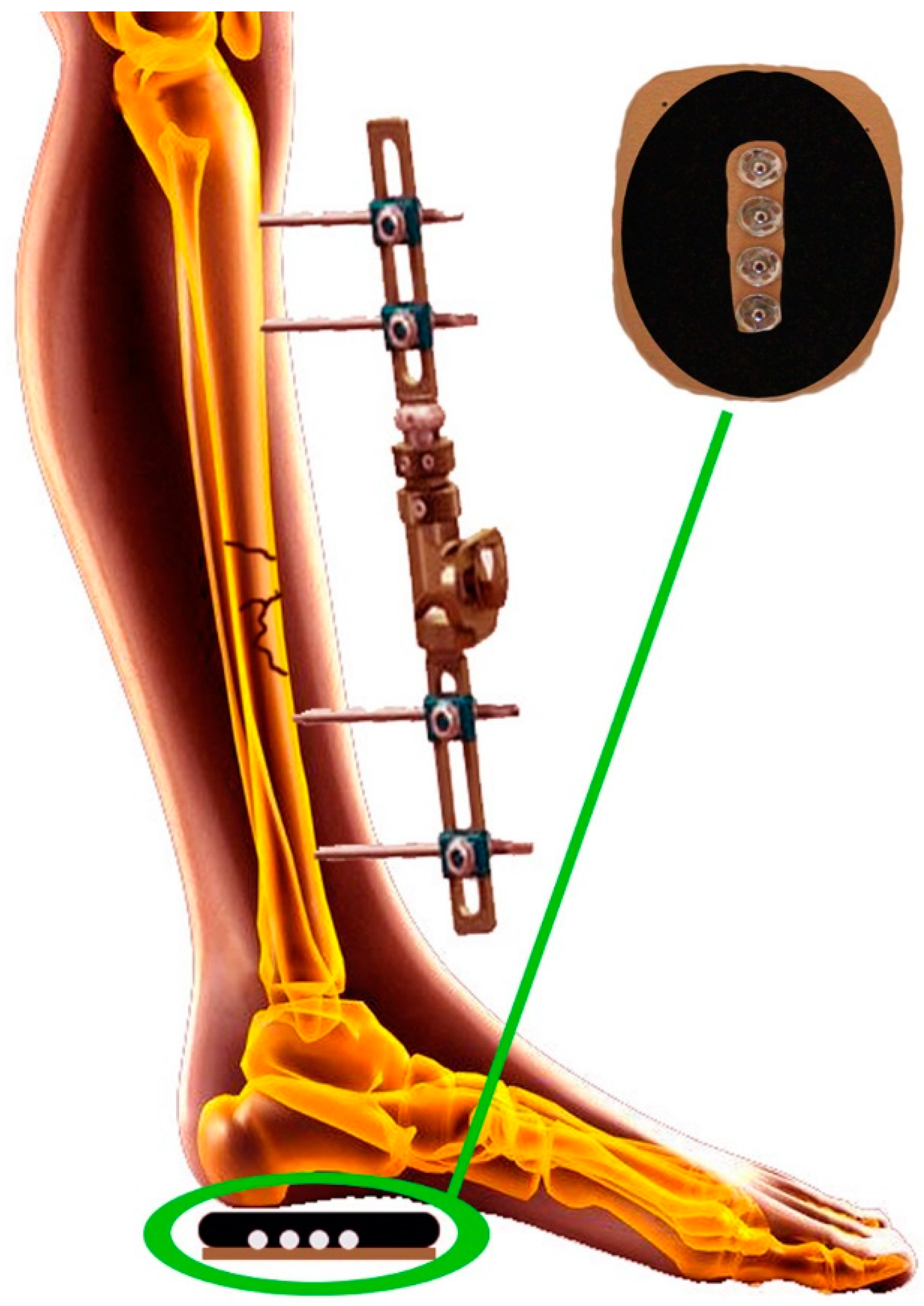 Preprints 156673 g001