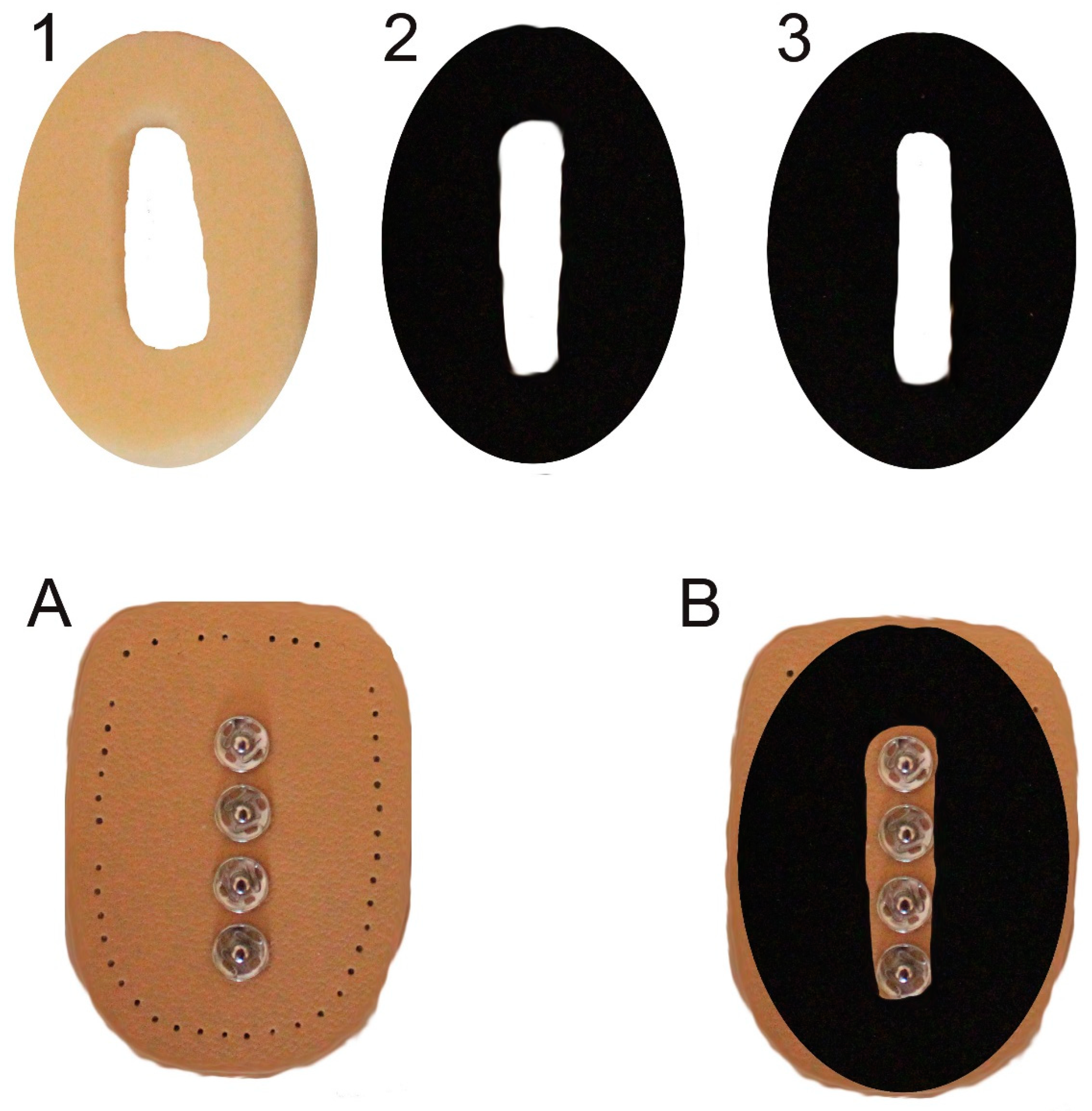 Preprints 156673 g002