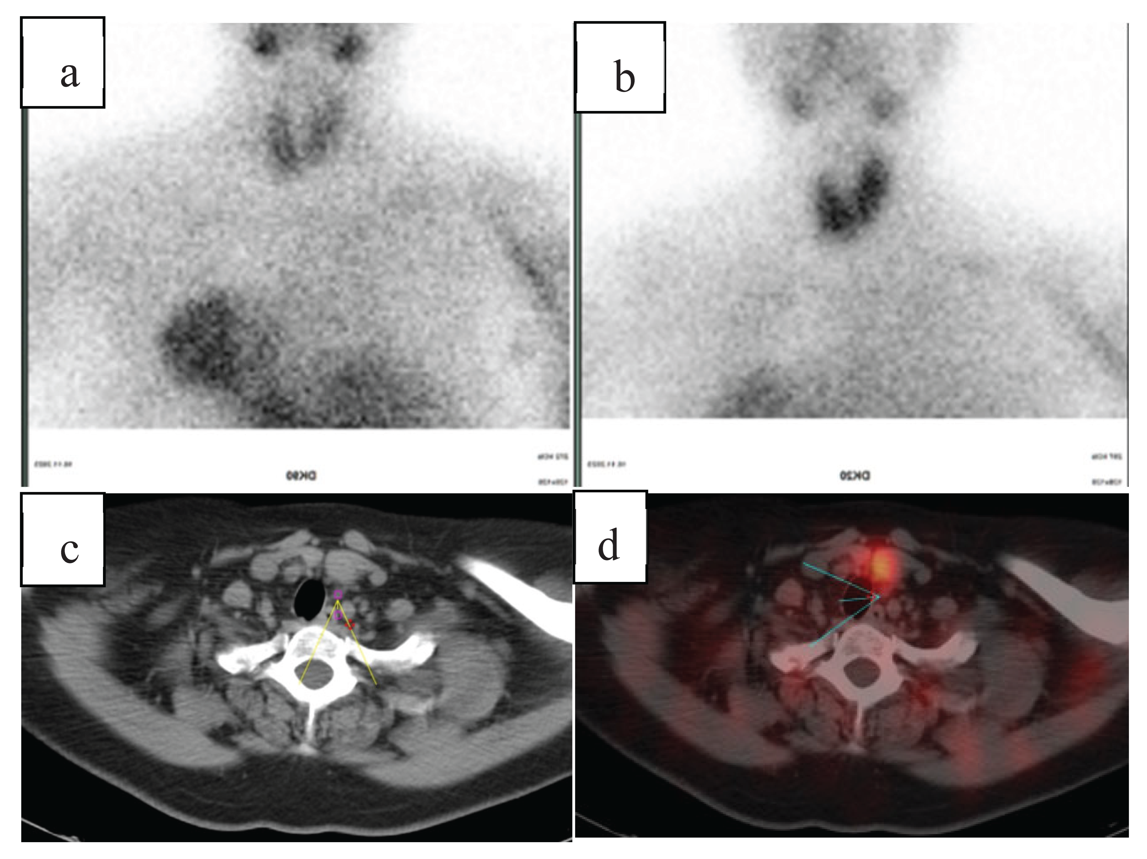 Preprints 219213 g003