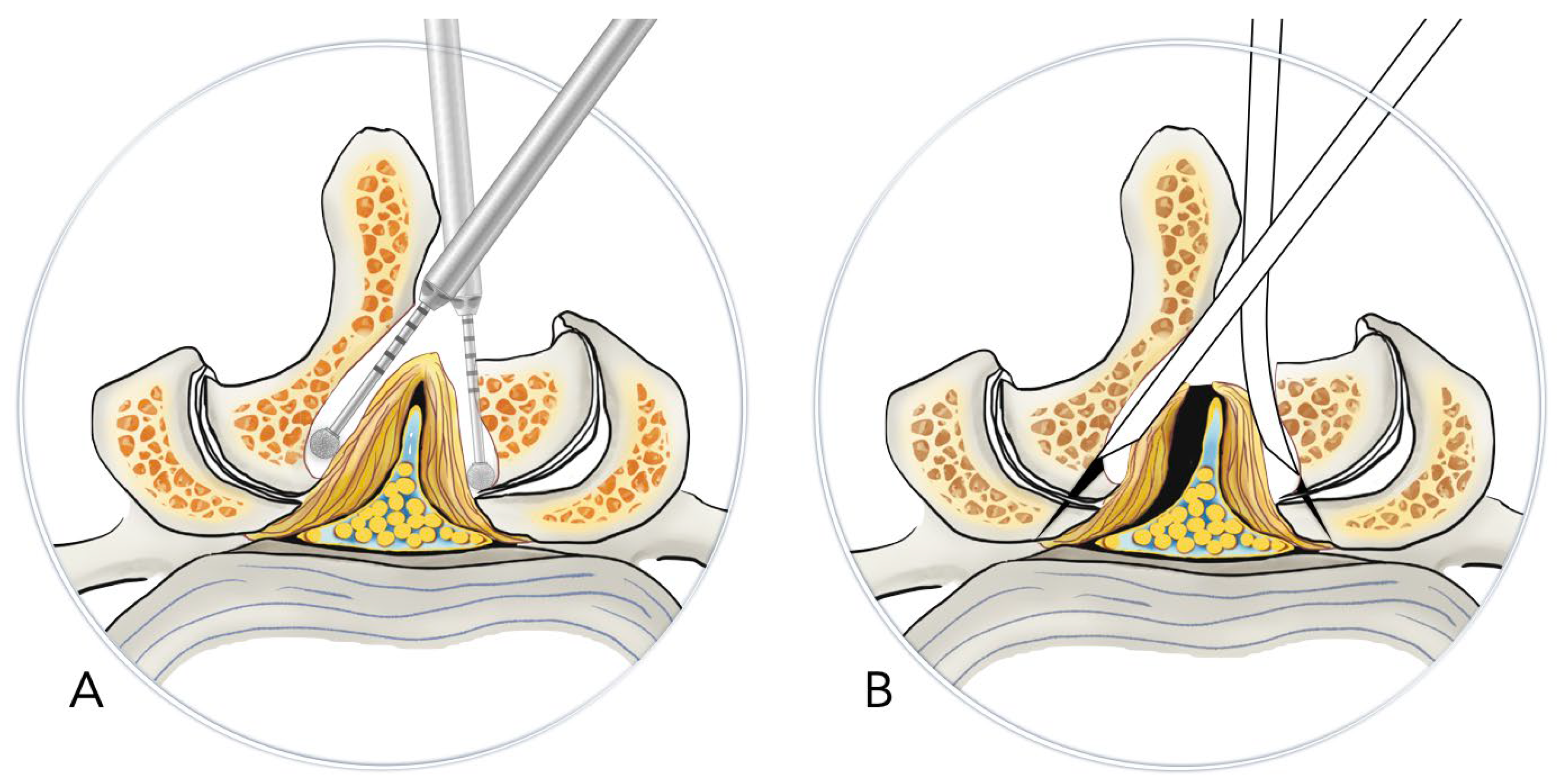 Preprints 177030 g001