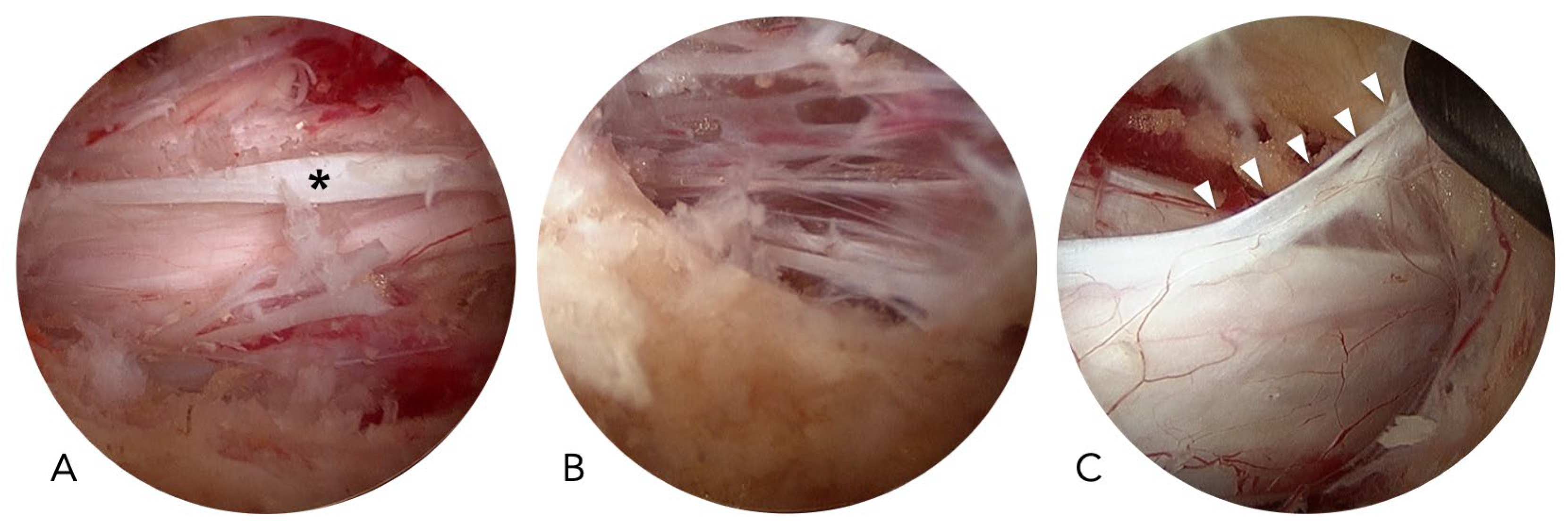 Preprints 177030 g003