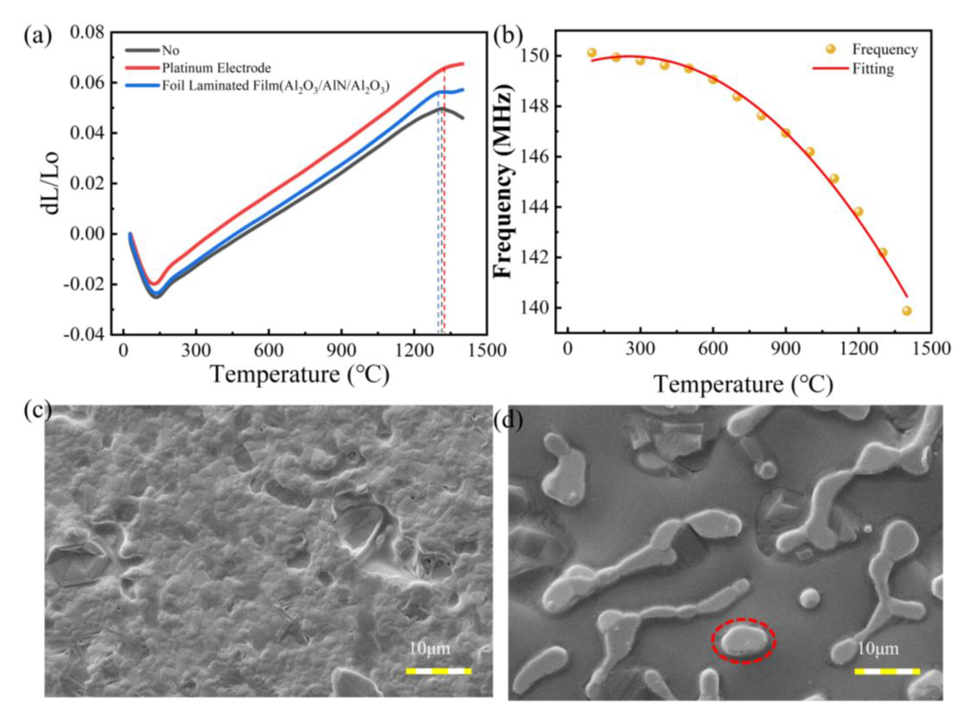 Preprints 159040 g007