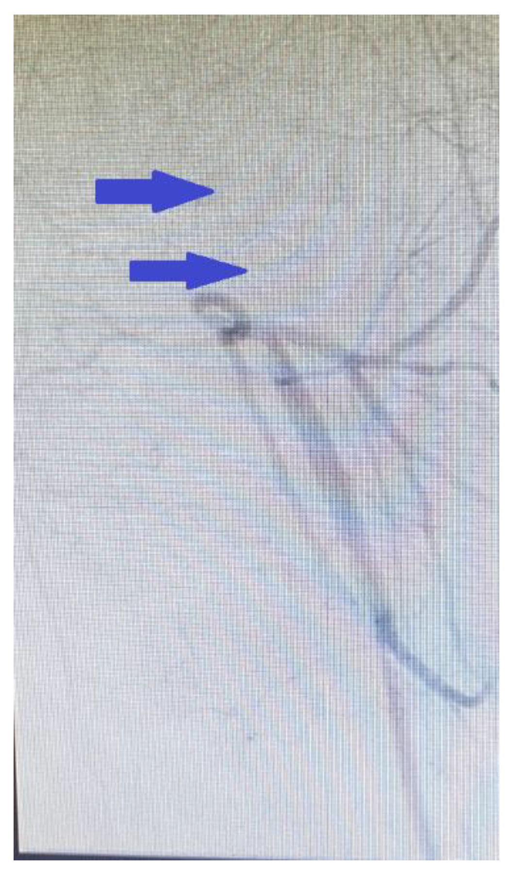 Preprints 165955 g008