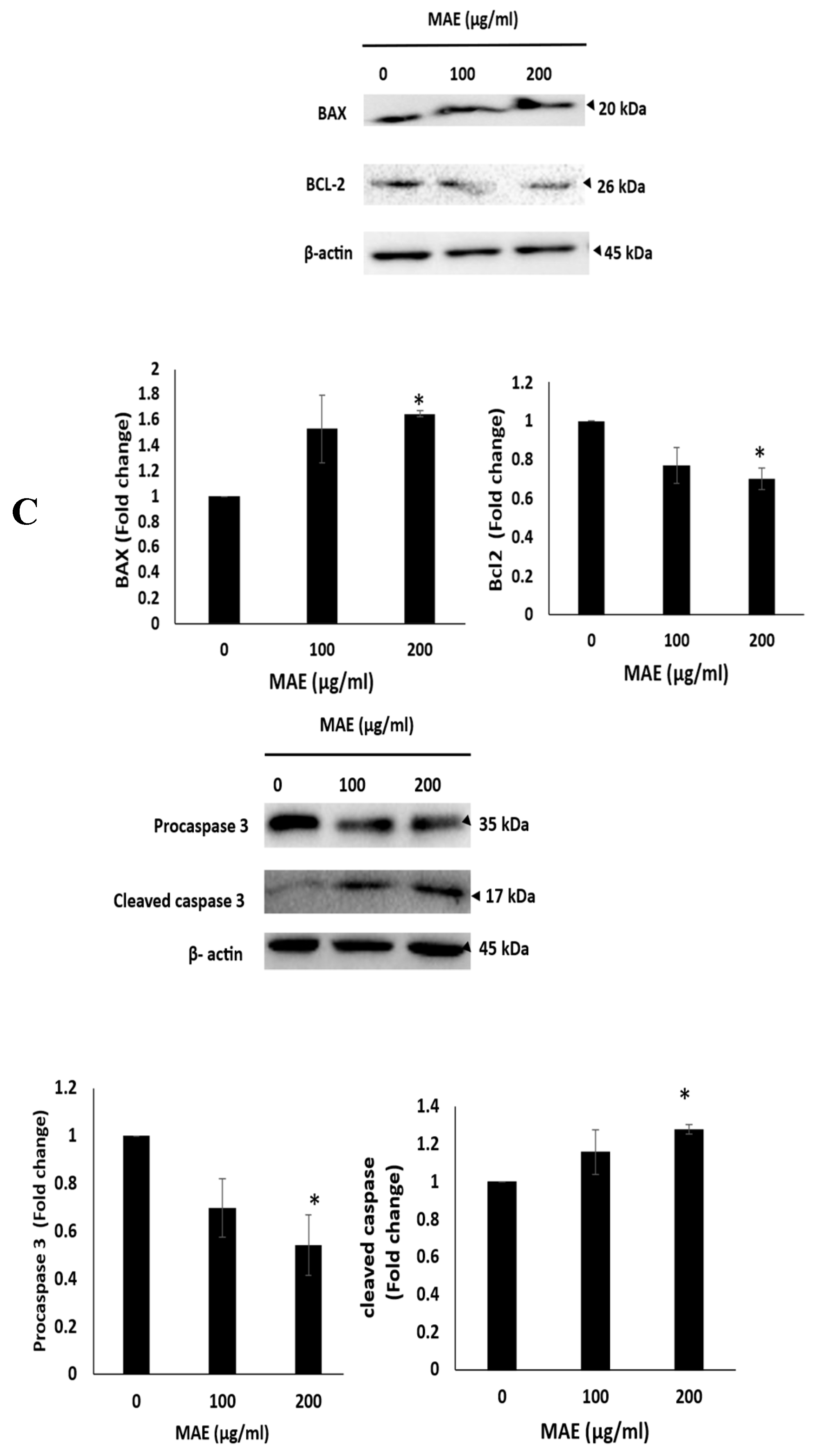 Preprints 171066 g004b