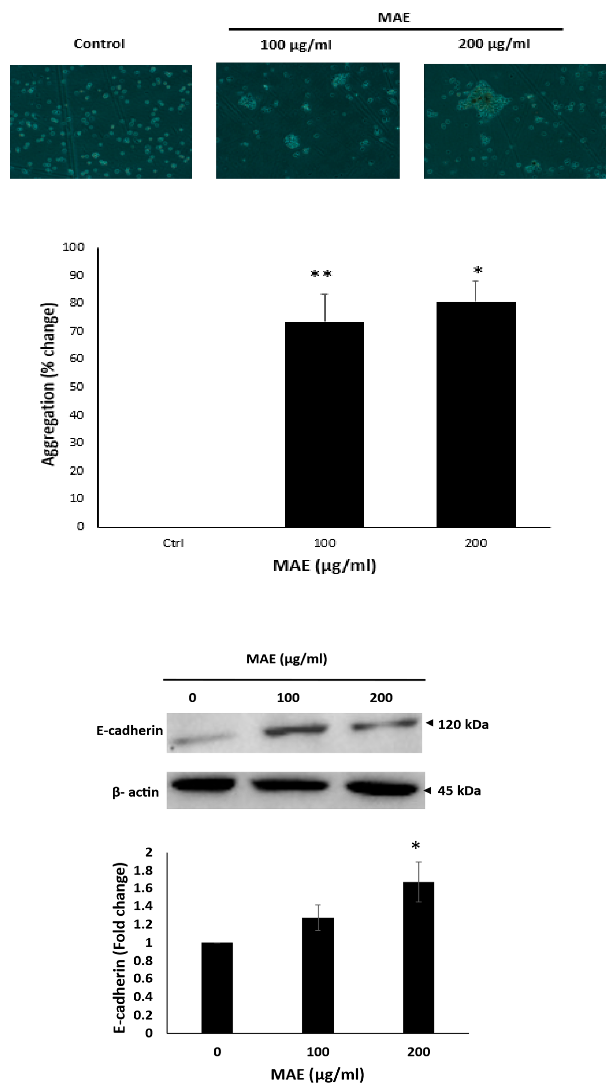 Preprints 171066 g005
