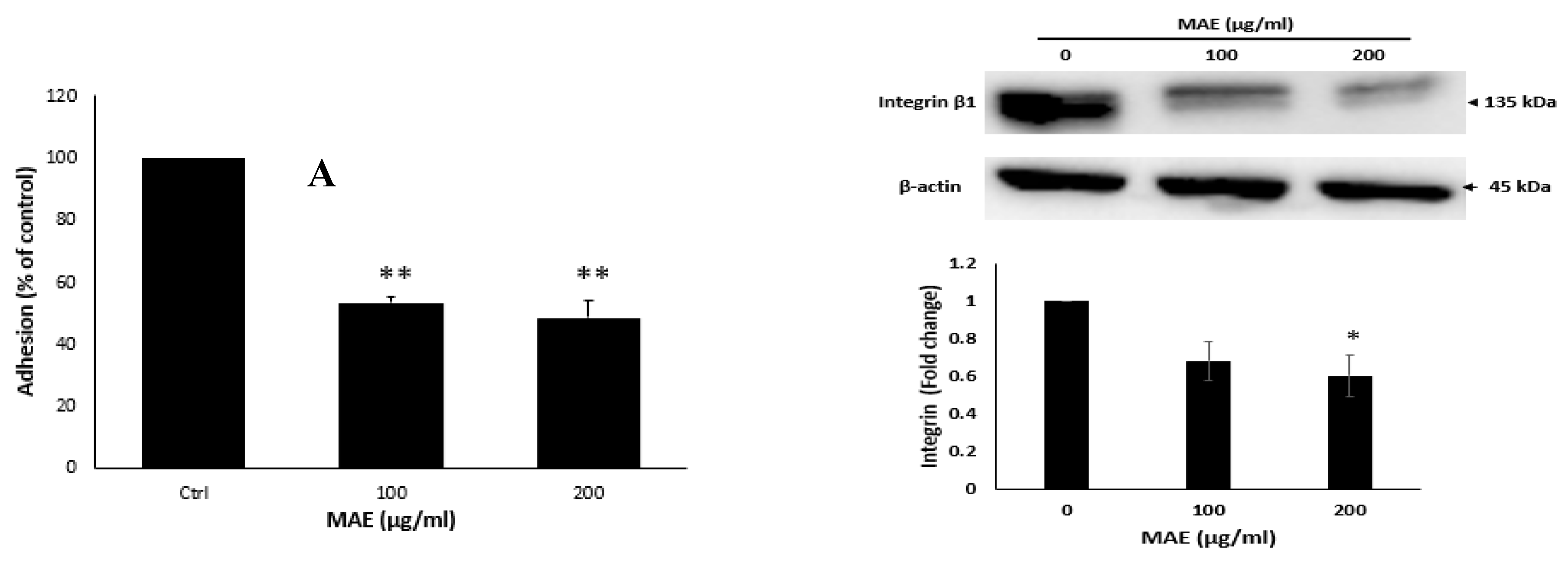 Preprints 171066 g006