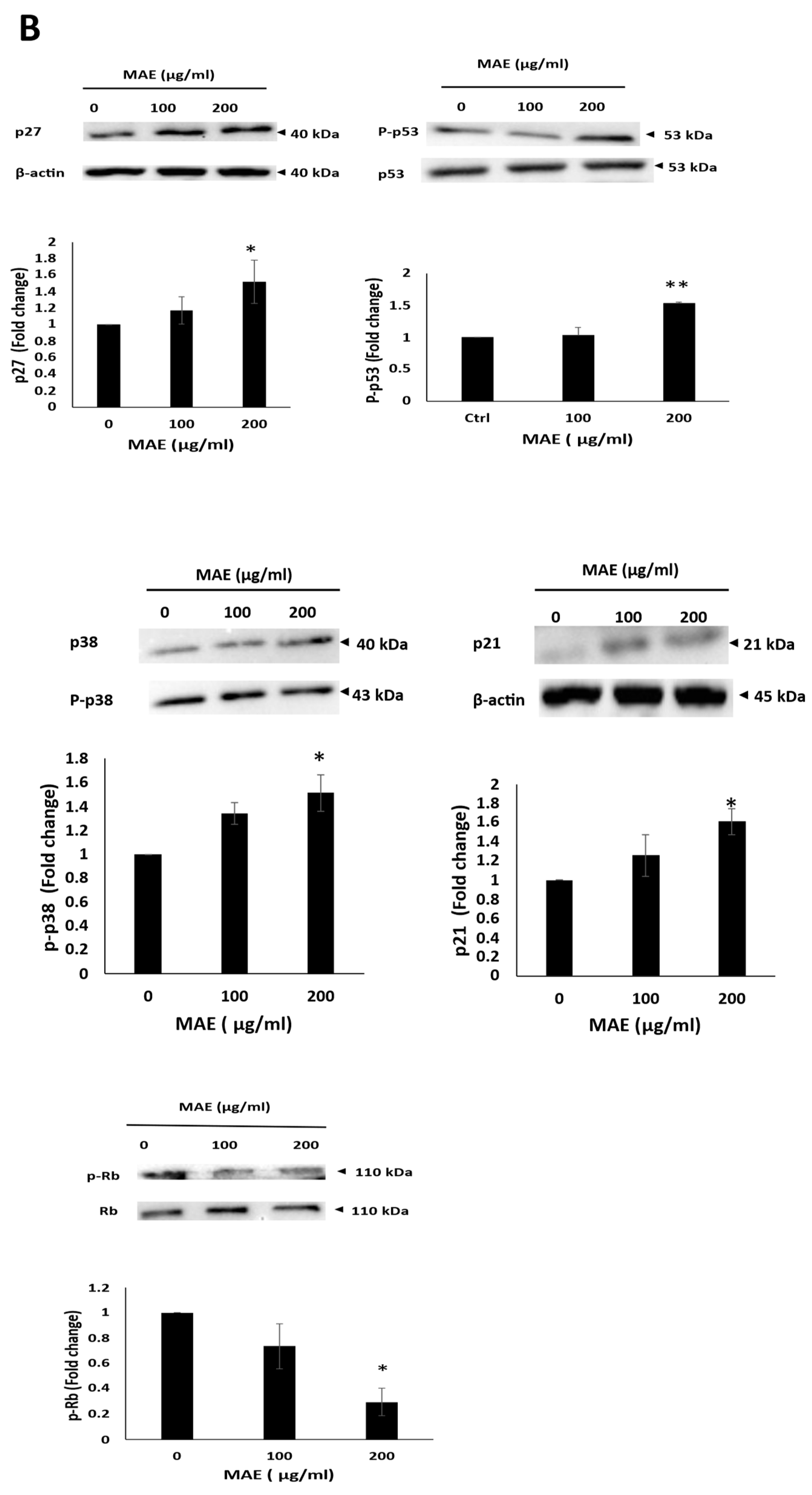 Preprints 171066 g009b