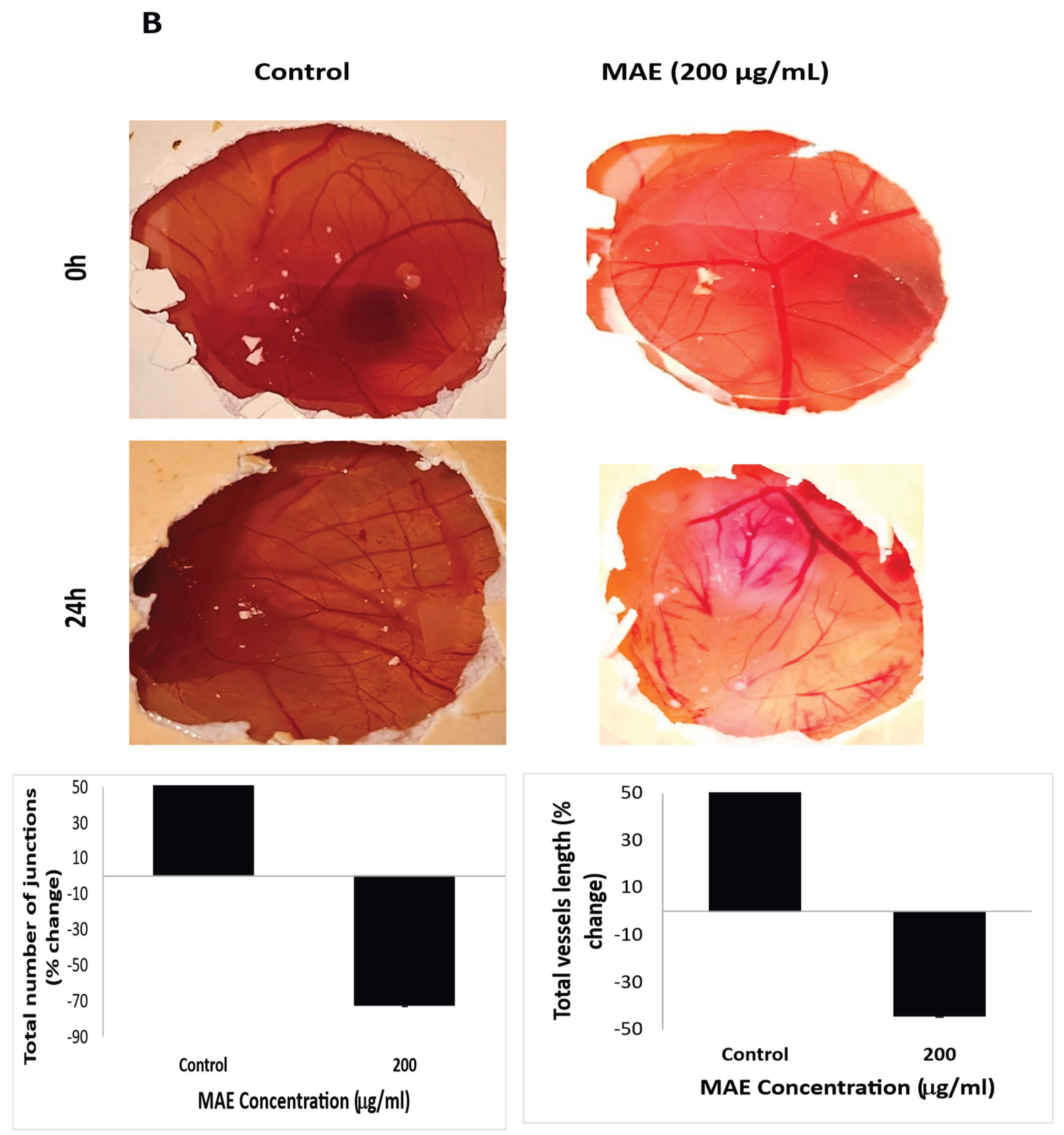 Preprints 171066 g010b