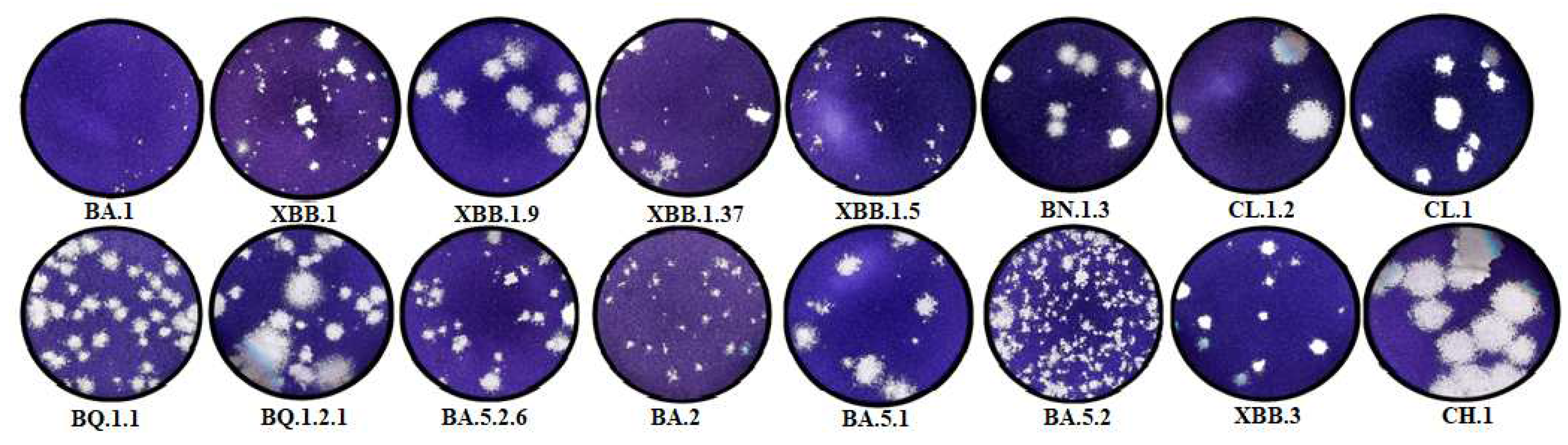 Preprints 94648 g002