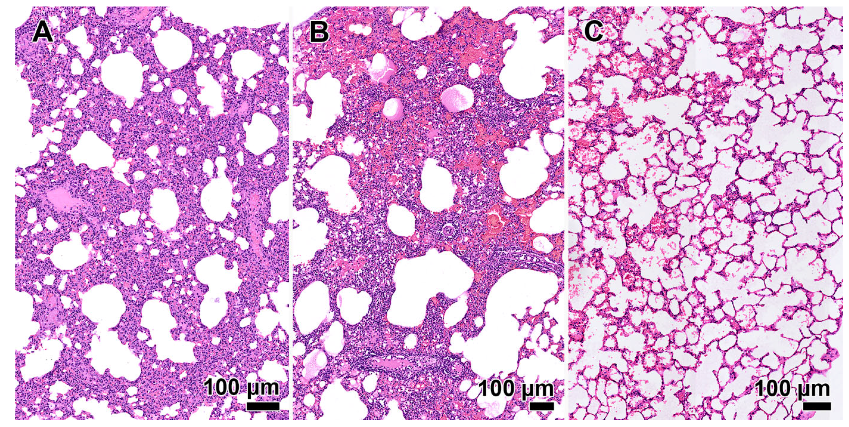 Preprints 94648 g003