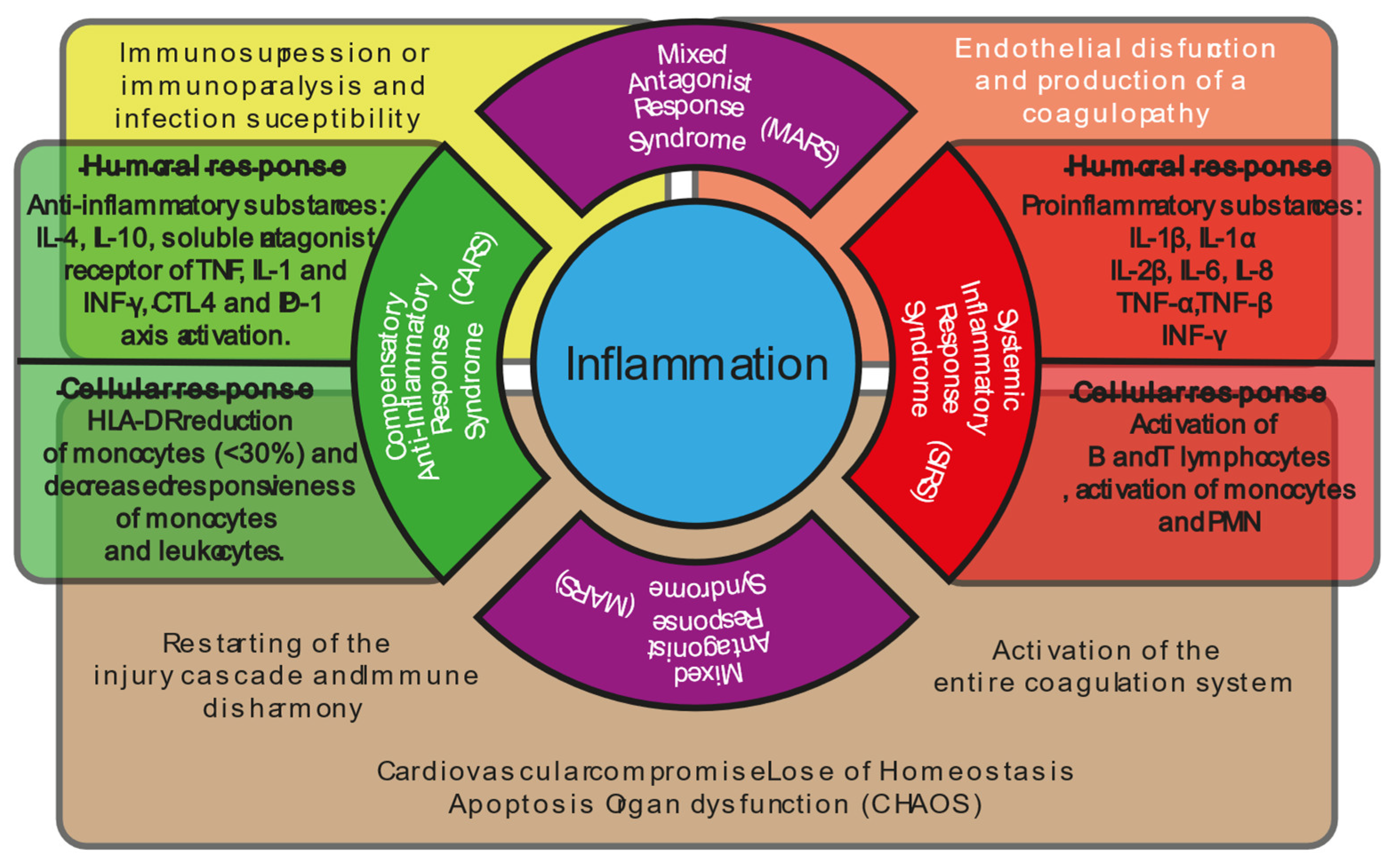 Preprints 153479 g003