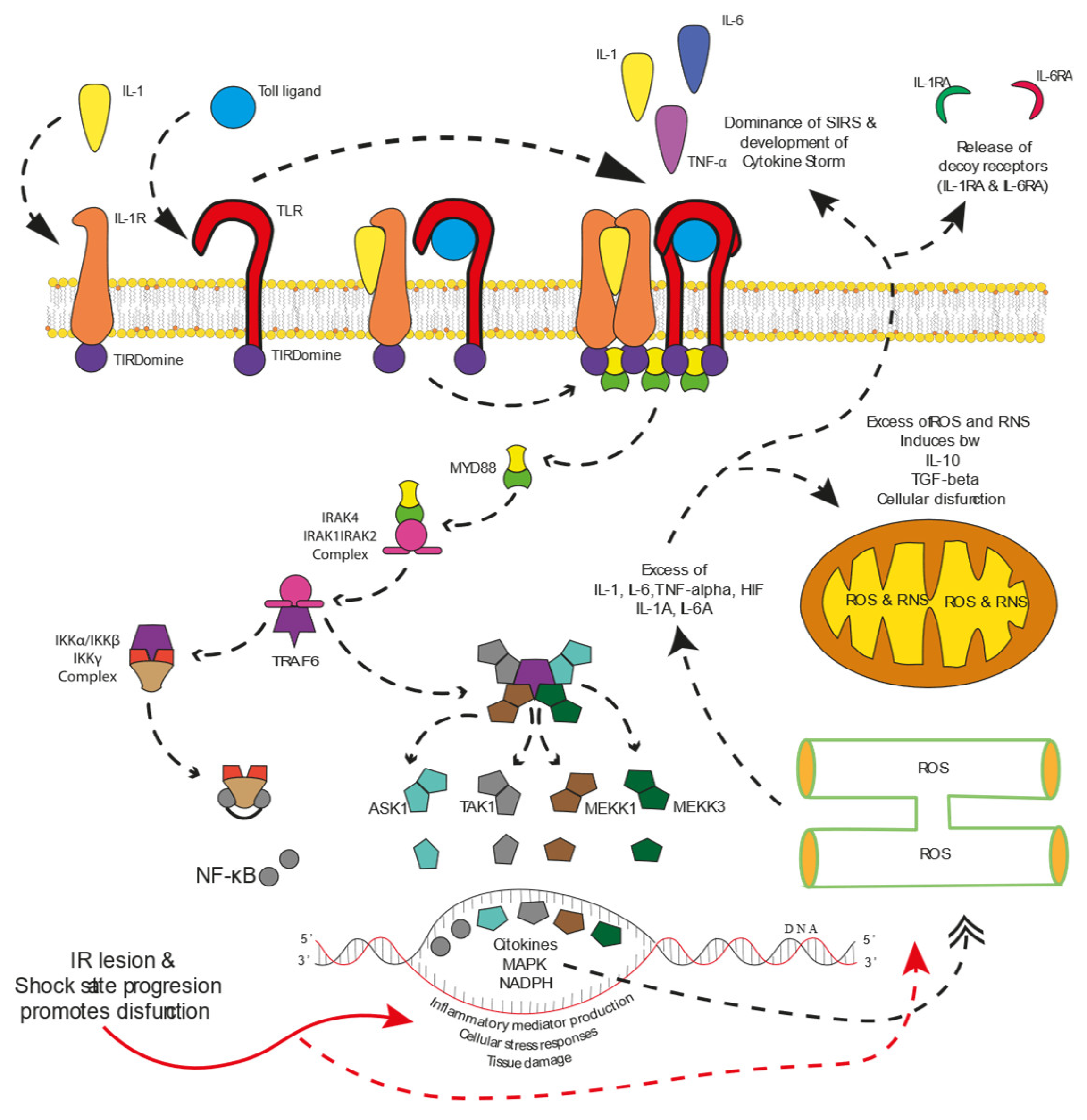 Preprints 153479 g004