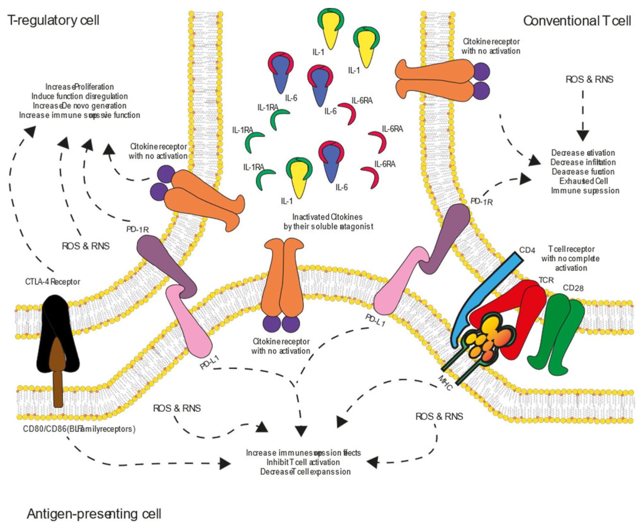 Preprints 153479 g005