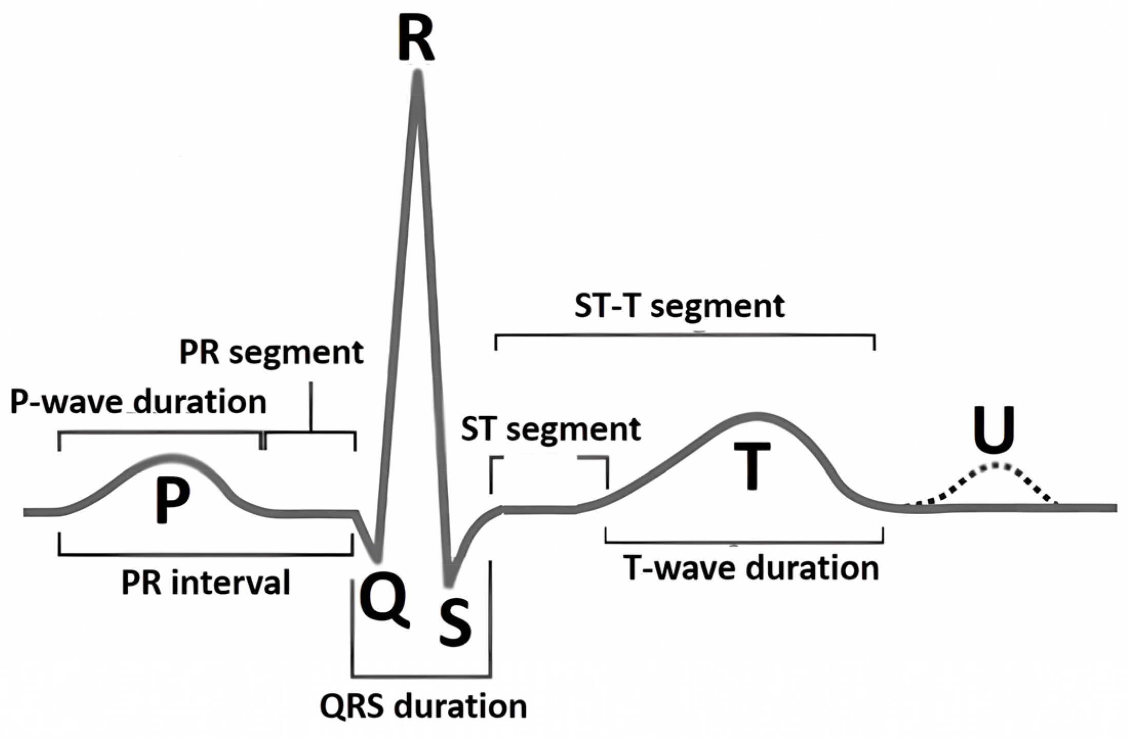 Preprints 139365 g001