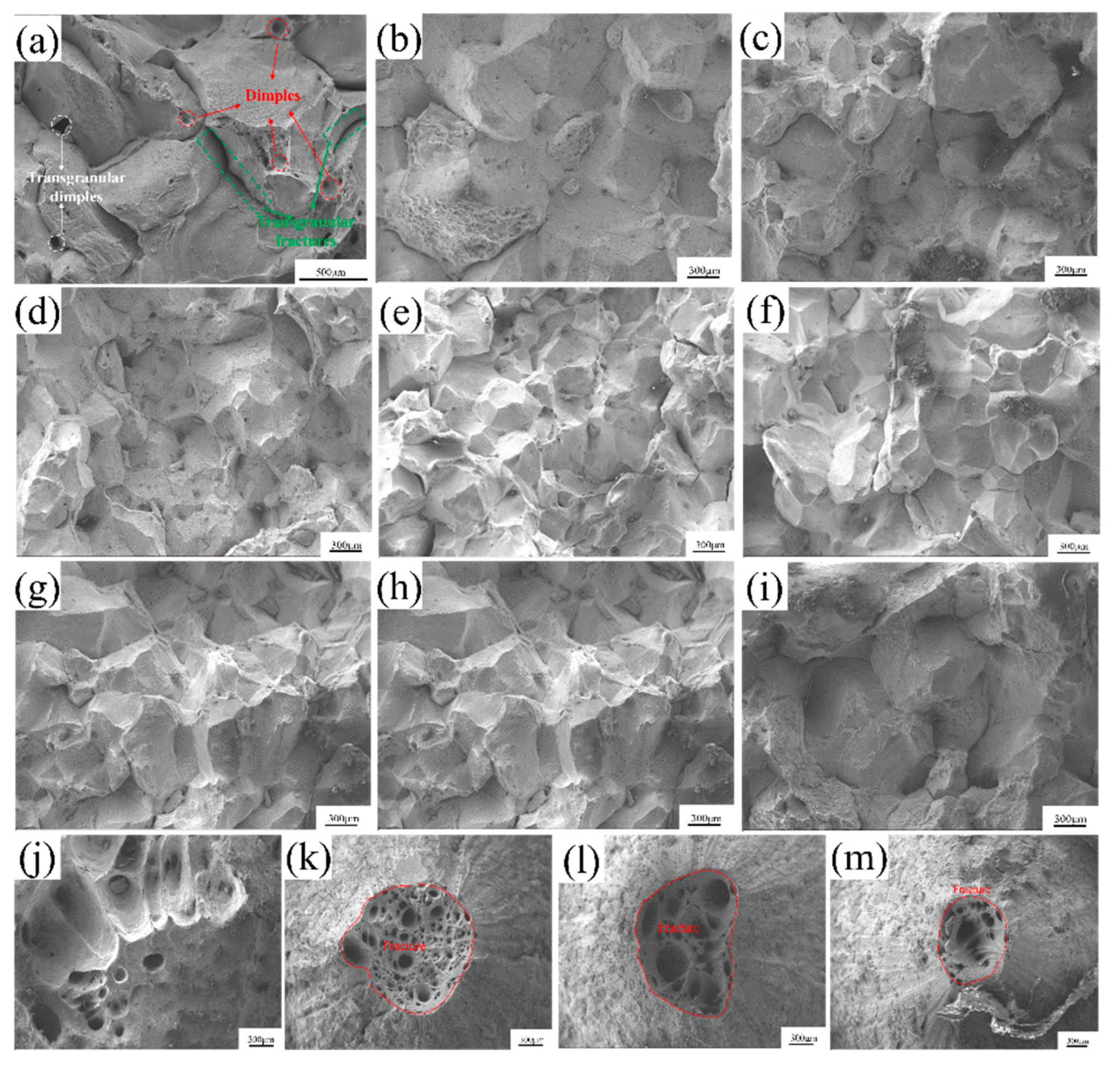 Preprints 165343 g006