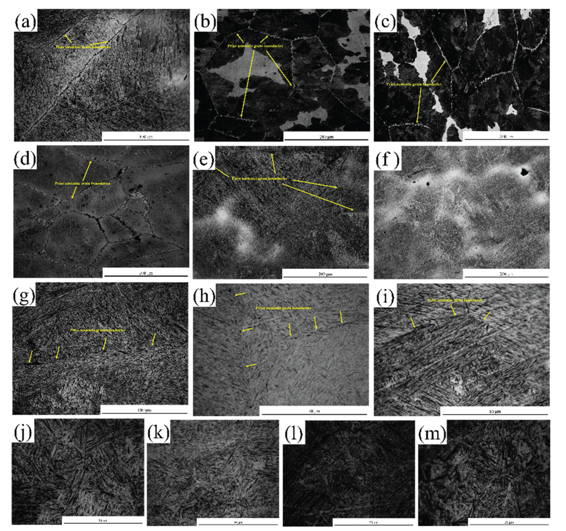 Preprints 165343 g007