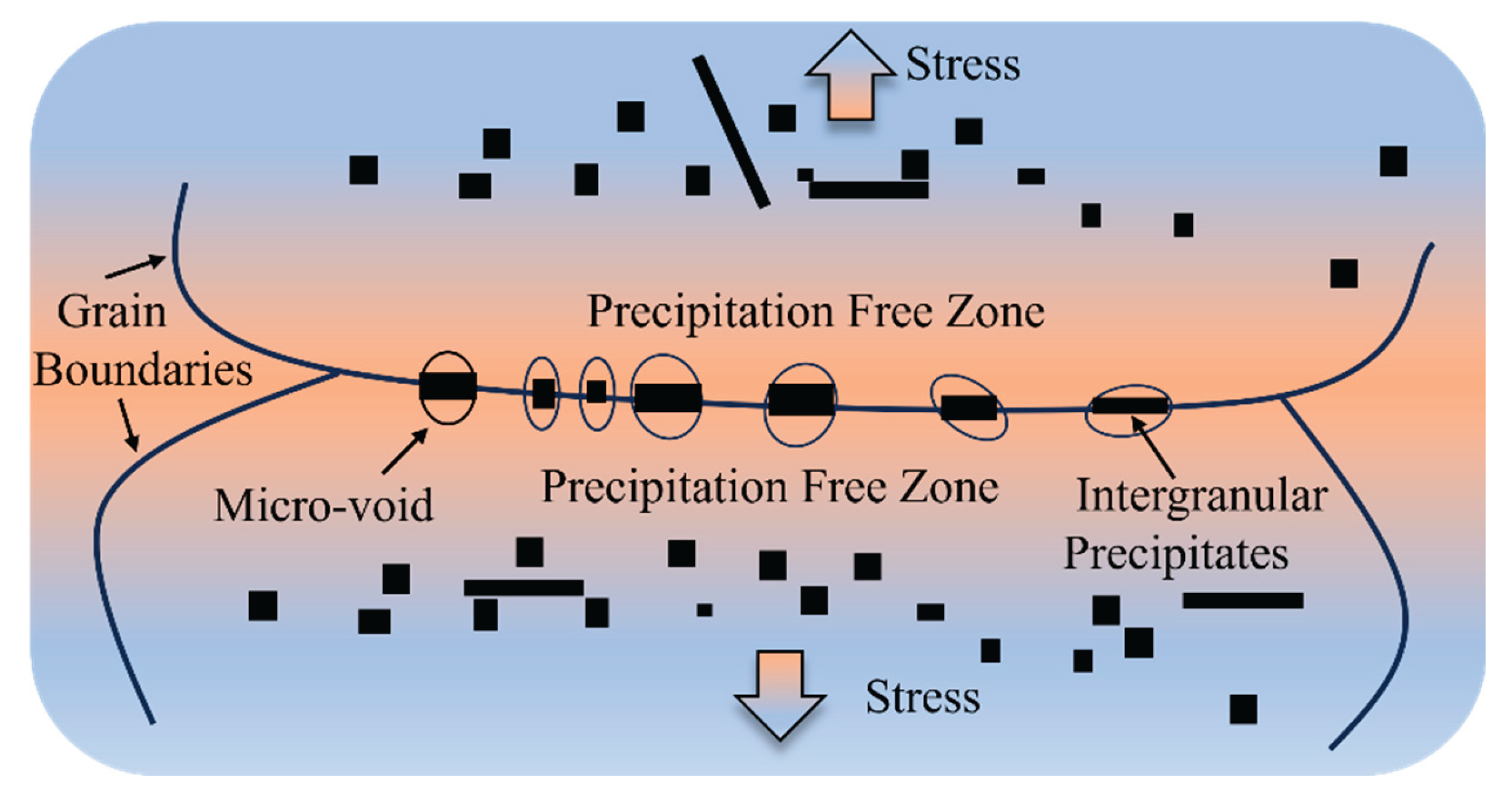 Preprints 165343 g011