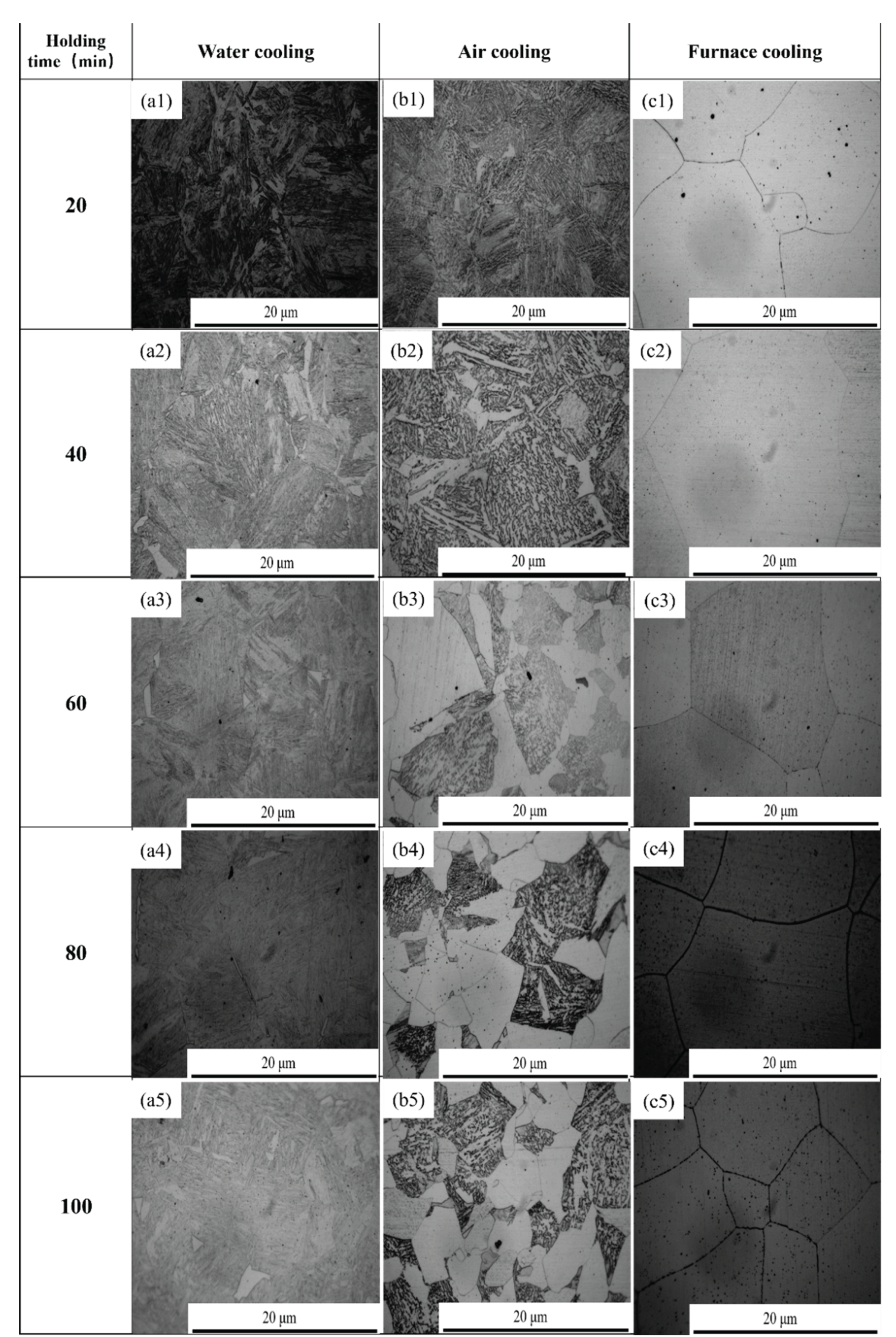 Preprints 165343 g014
